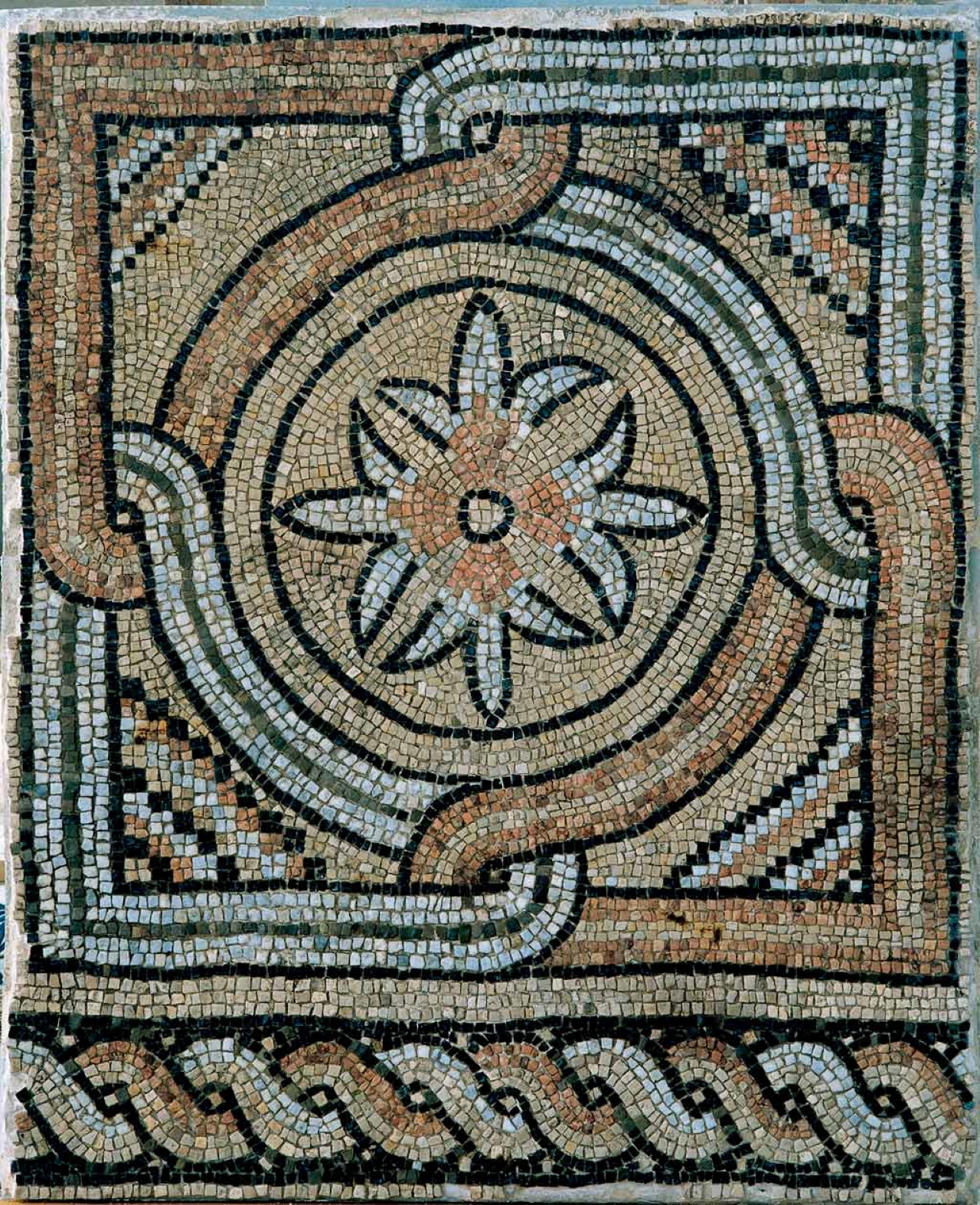 Ravenna: Visit the "Domus of Stone Mosaics" Archaeological Site - Photo 8