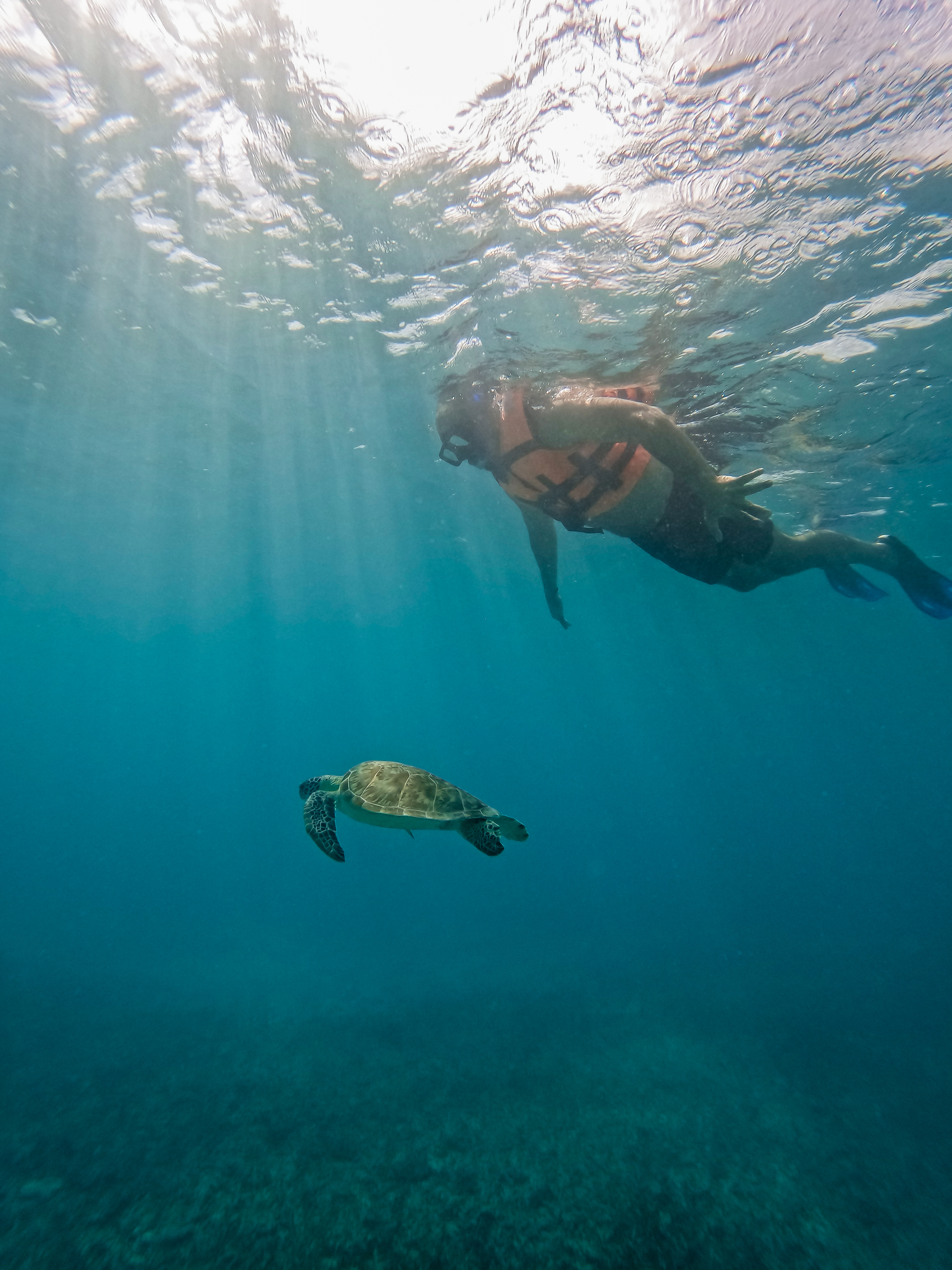 2 horas de Snorkeling en dos puntos del arrecife de Tulum — 53/78