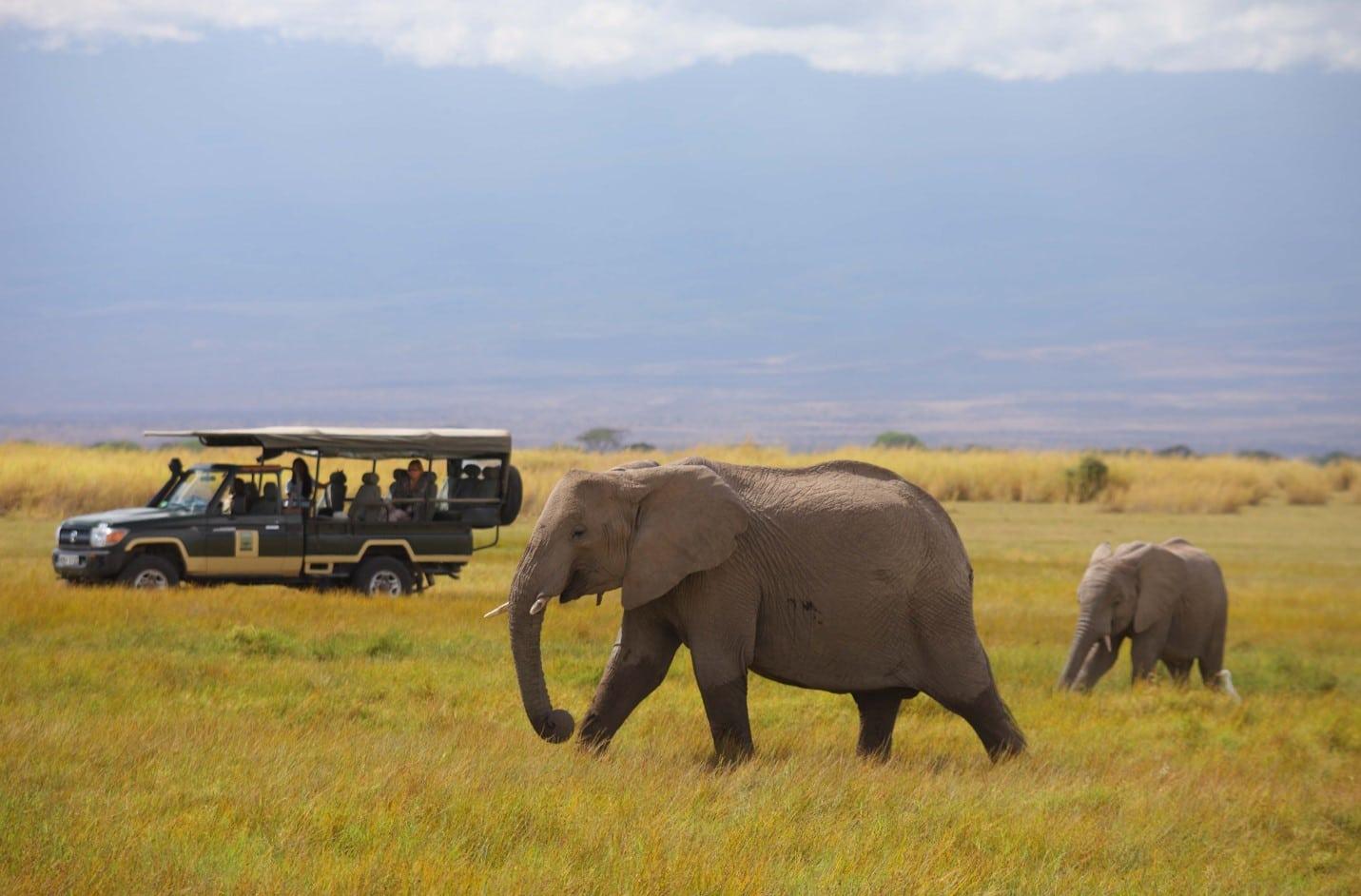10 Day Kenya Safari Beyond the Ordinary – Big Five, Lakes & Wild Frontiers – photo 2
