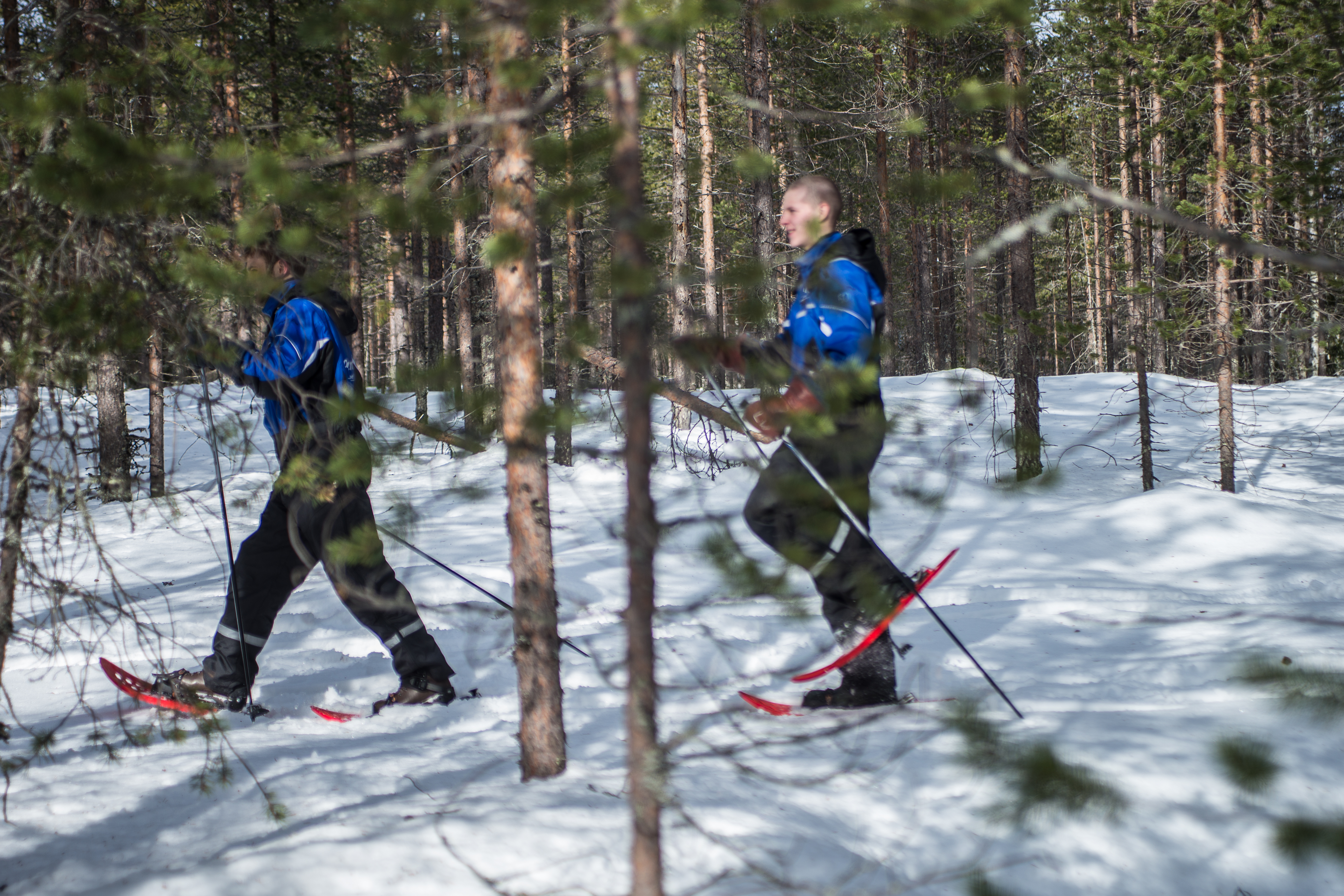 Snowshoe Experience in Lapland Forest - Rovaniemi – Image 3 | WeShare