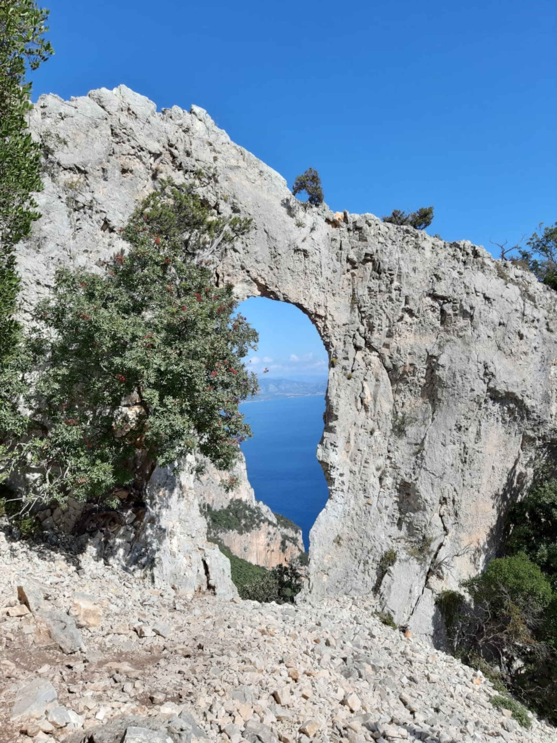 From Baunei: trekking to Cala Mariolu - Photo 3