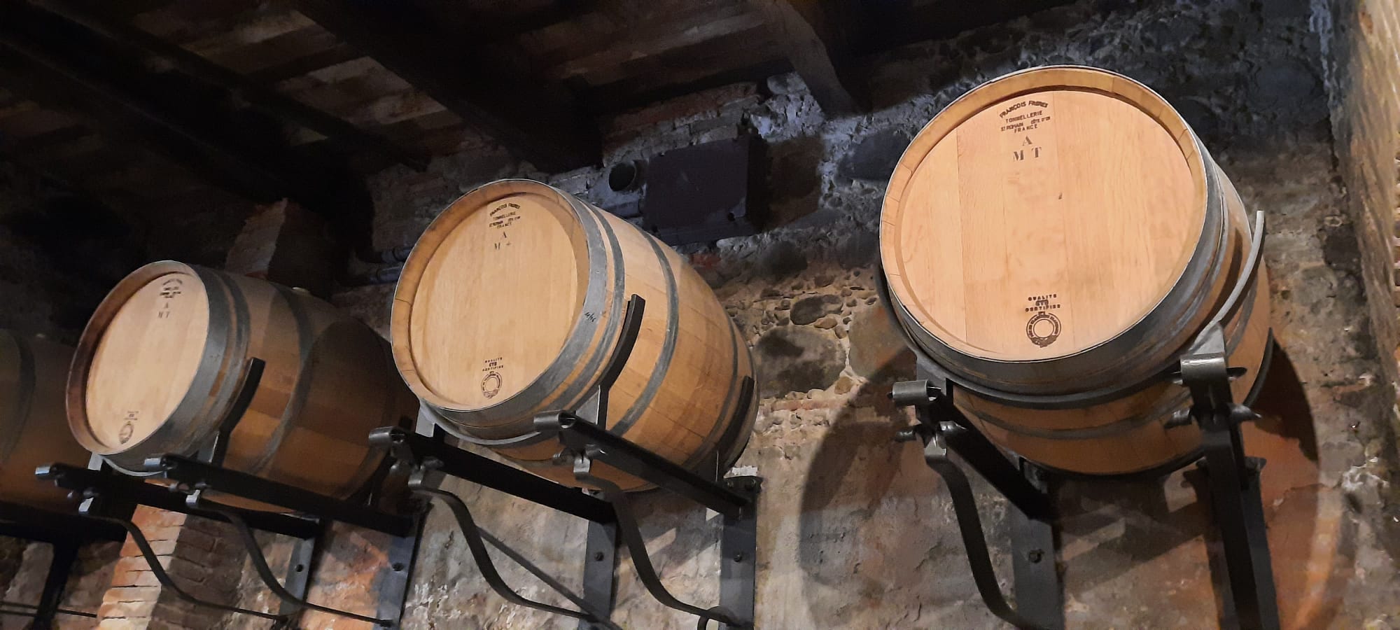 Wine Experience in farm vineyard & winery from Montecatini - Photo 7