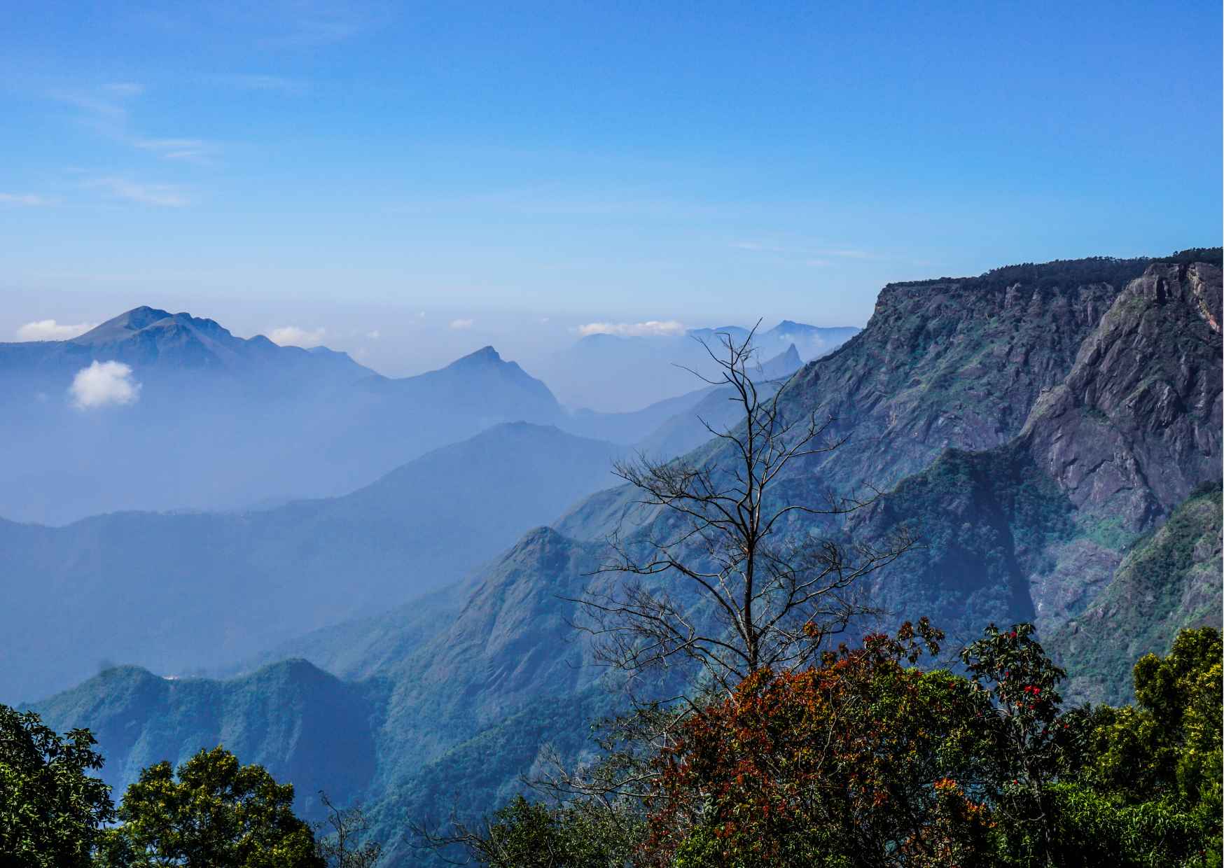 Touristic Highlights of Ooty (Guided Full Day City Sightseeing Tour by Car) - Photo 8