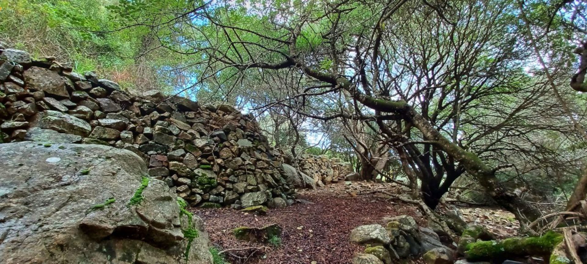 Castiadas: trekking in the S'Acqua Callenti forest - Photo 19