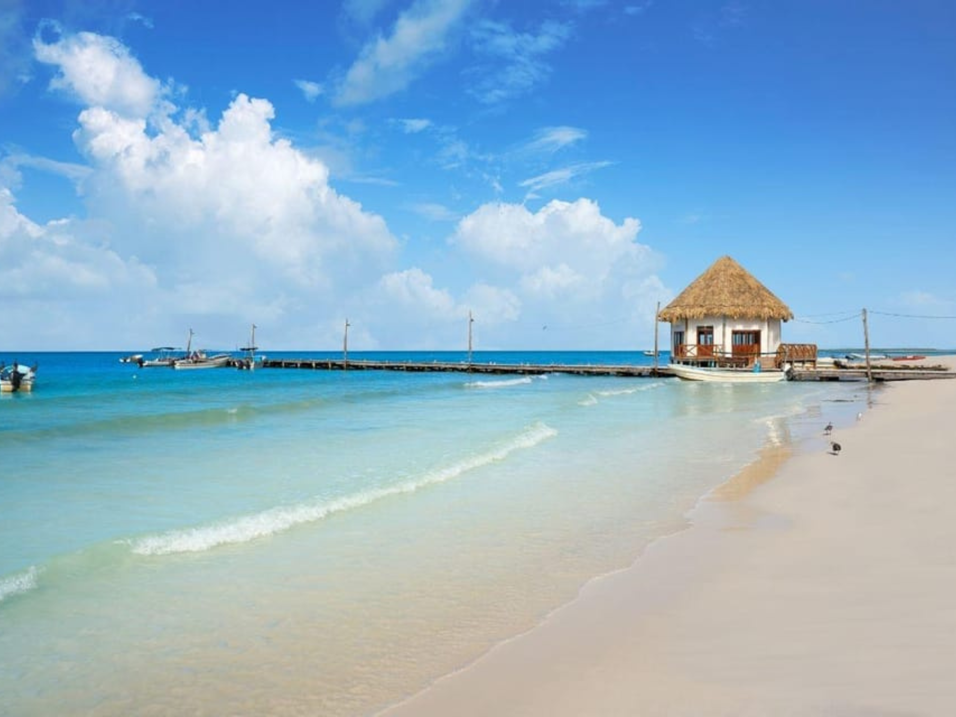 Tour a Holbox Express
