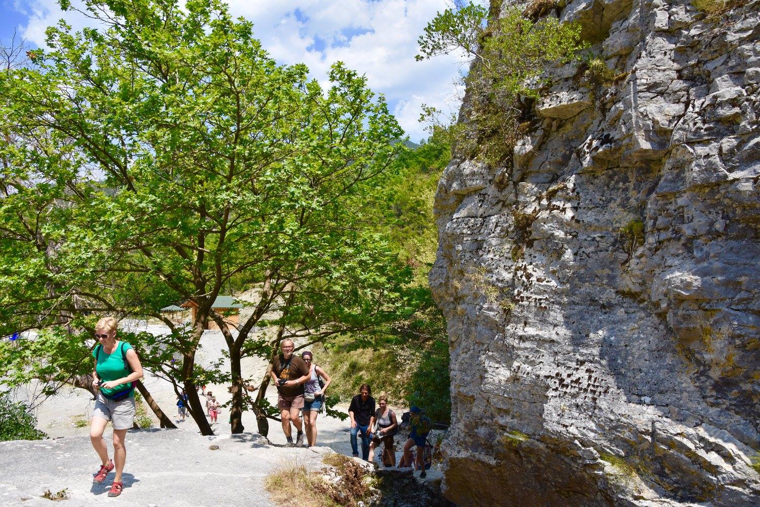 Full day tour to Bogova Waterfall and the Osum River Canyons - Photo 8