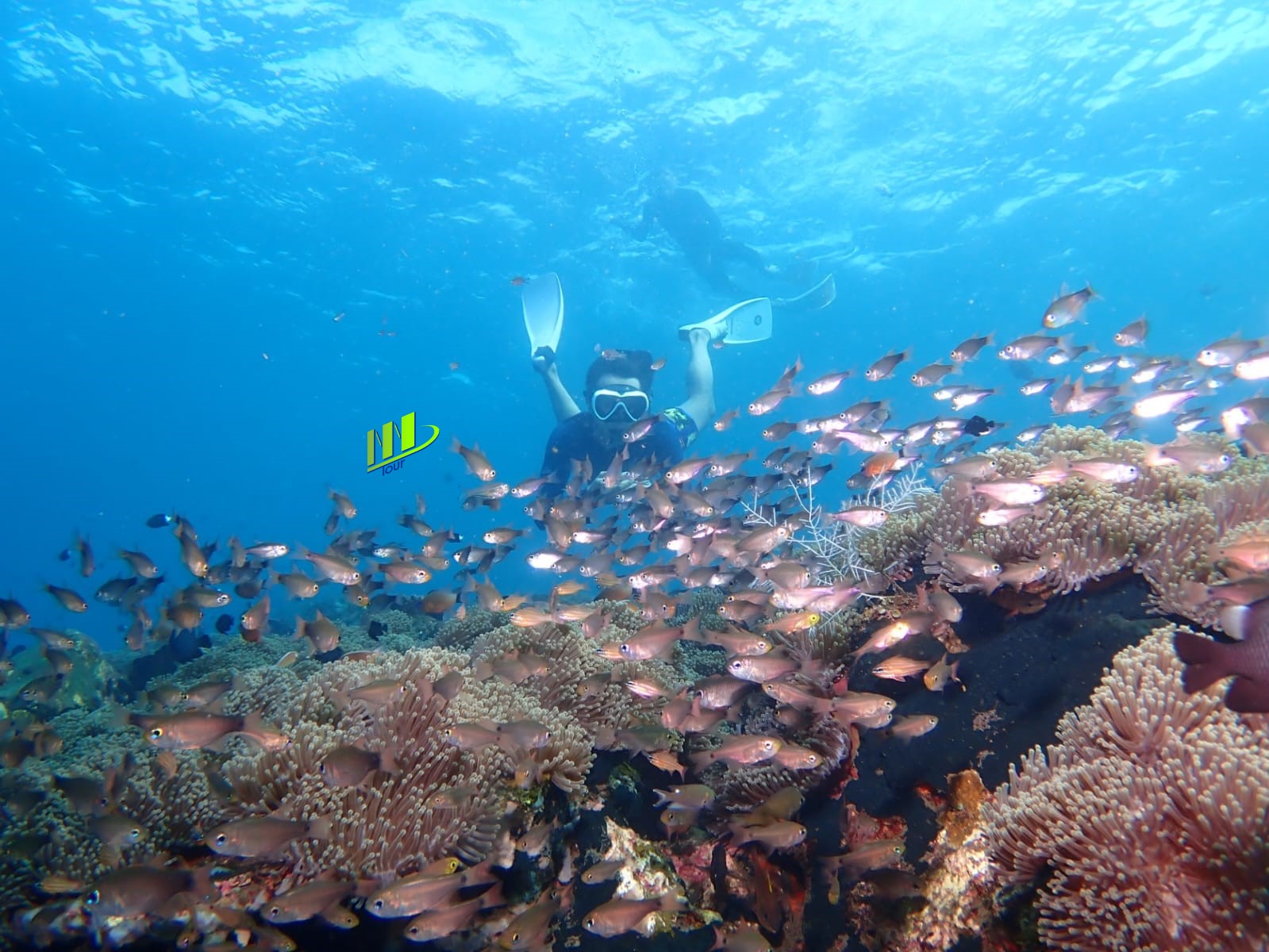 Tulamben Safari Aventura de snorkel en Coral Garden Experiencia privada