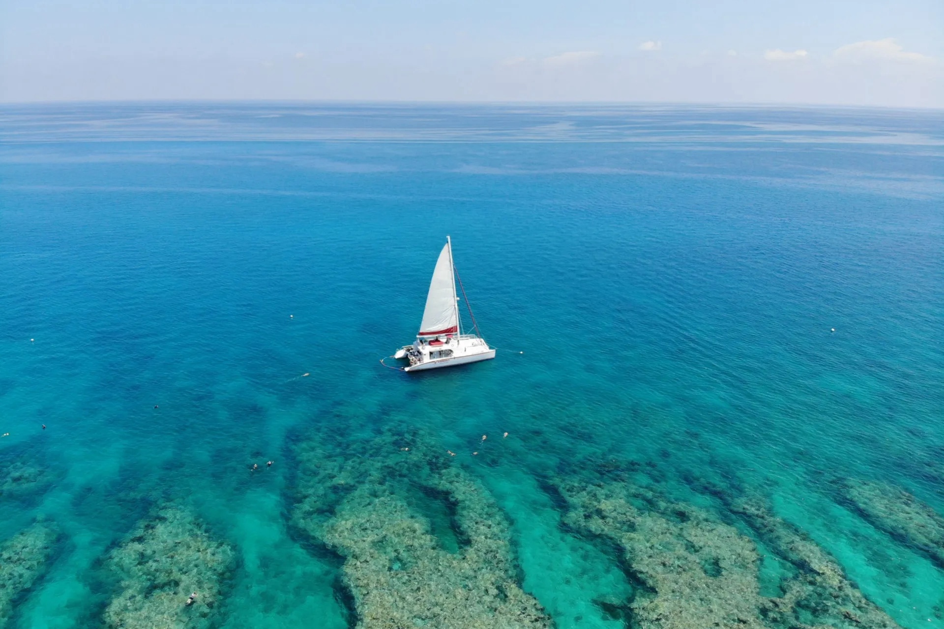 Key West: 3hr Snorkeling Experience with Unlimited Drinks