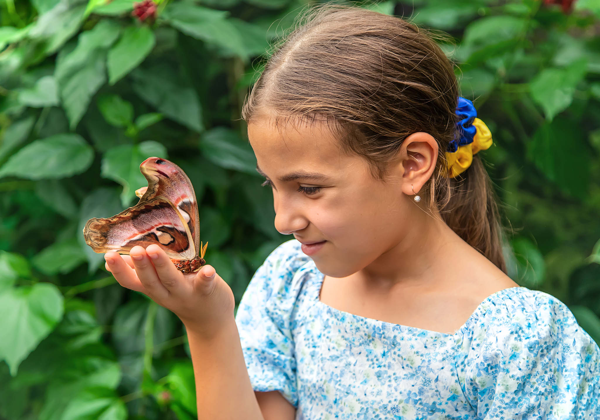 Zanzíbar: adéntrese en el paraíso de las mariposas de Zanzíbar - Foto 5