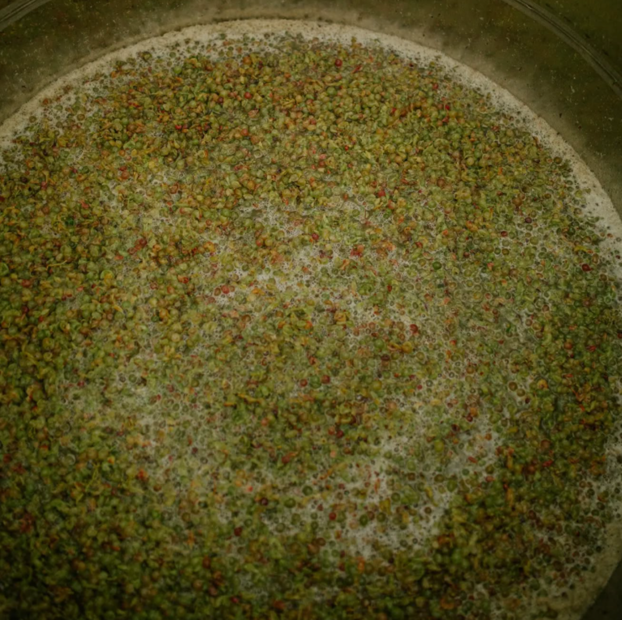 Marche Wines: Explore the Richness of Local Flavors - Photo 3