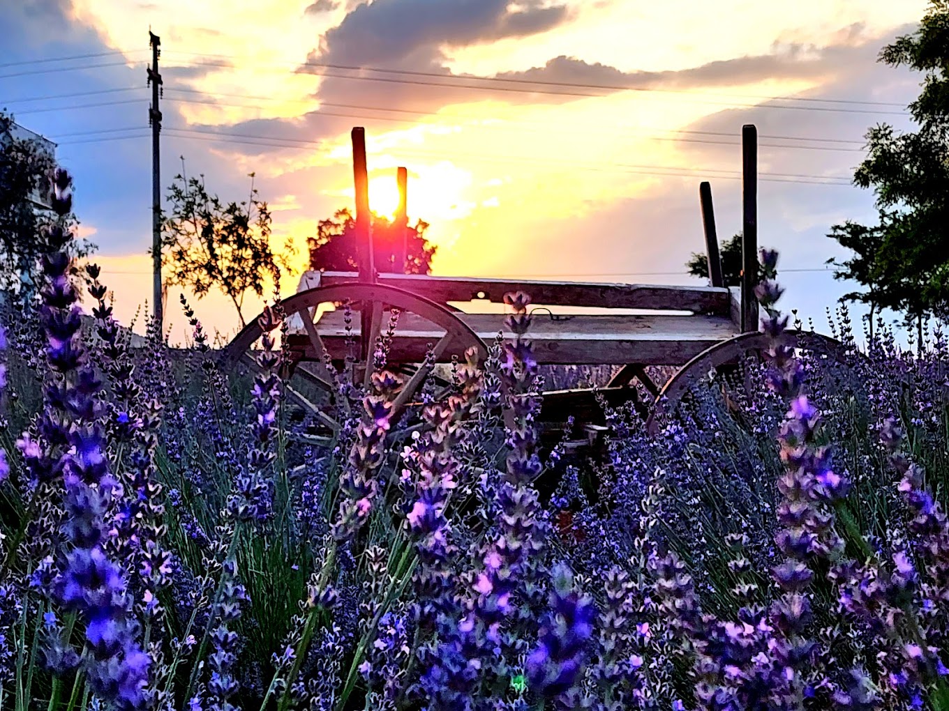 Konya / Çatalhöyük Local Living Experience With Home Stay