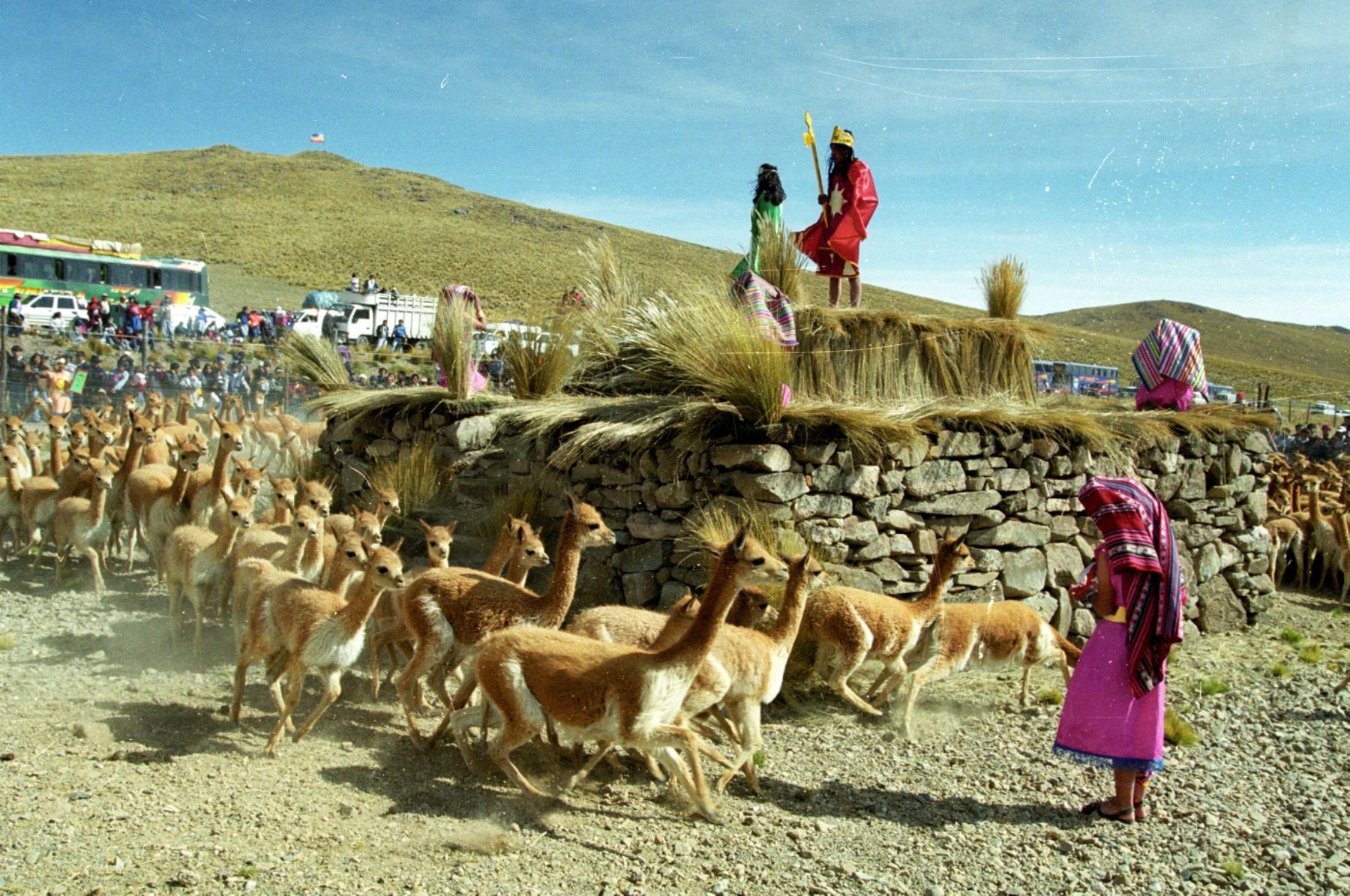 Naz-05 : Reserva Nacional Pampas - Santuario Vicuña Lama - Foto 2