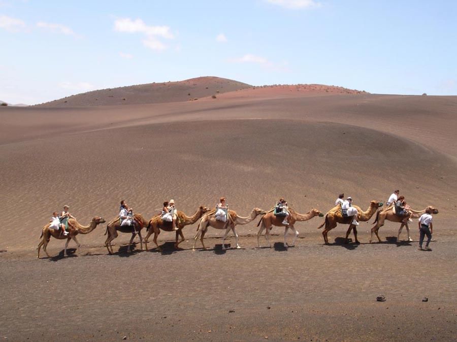 Camel ride in the Maspalomas Dunes