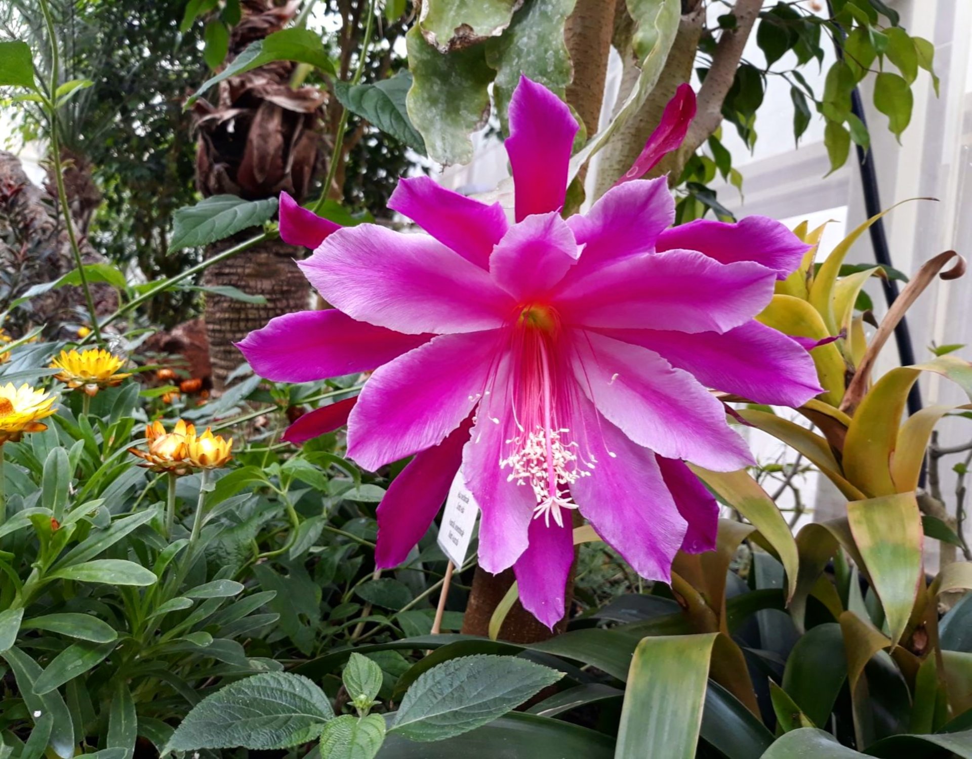 Alghero: visit to the Butterfly House - Photo 10
