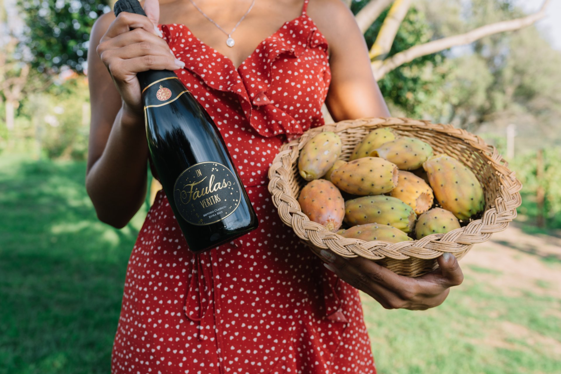 Olbia: visit to a Gallura winery with tasting - Photo 6