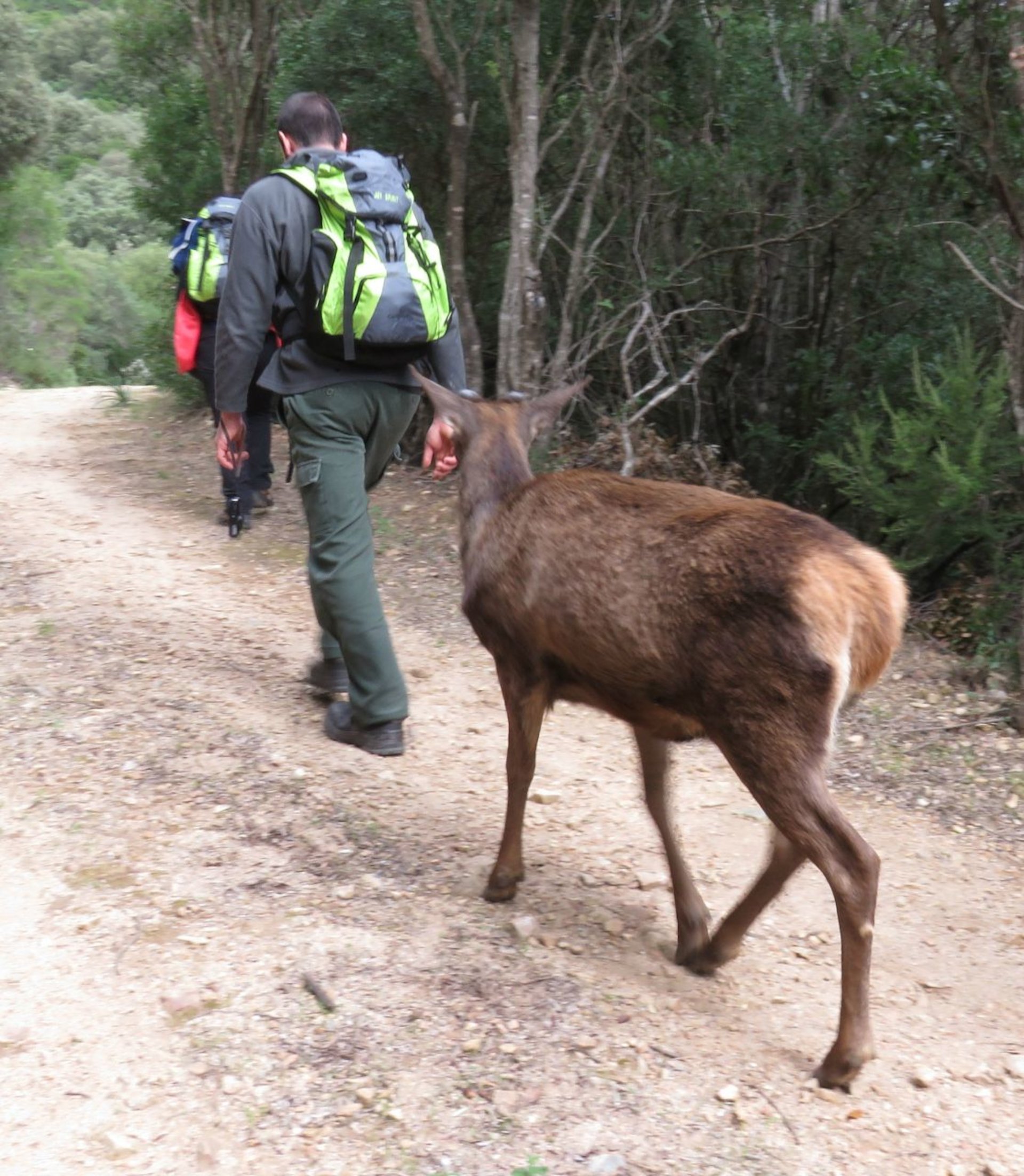Castiadas: trekking in the S'Acqua Callenti forest - Photo 9