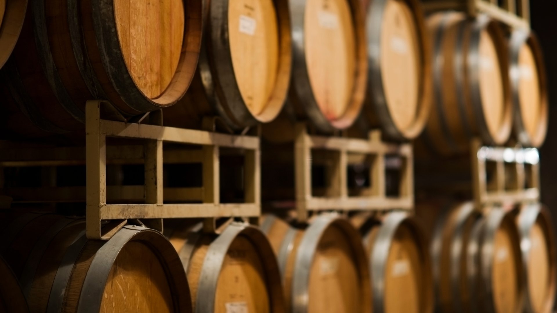 From Cagliari: visit to a winery with tasting - Photo 2
