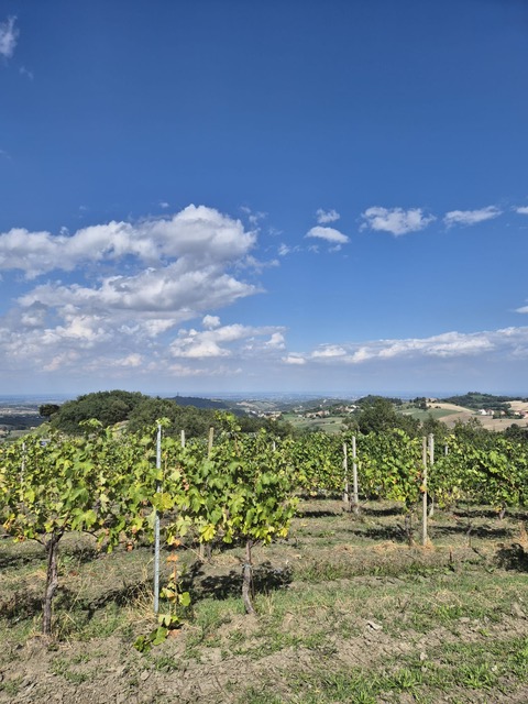Emilia-Romagna's Typical products Tasting Tour from Parma 