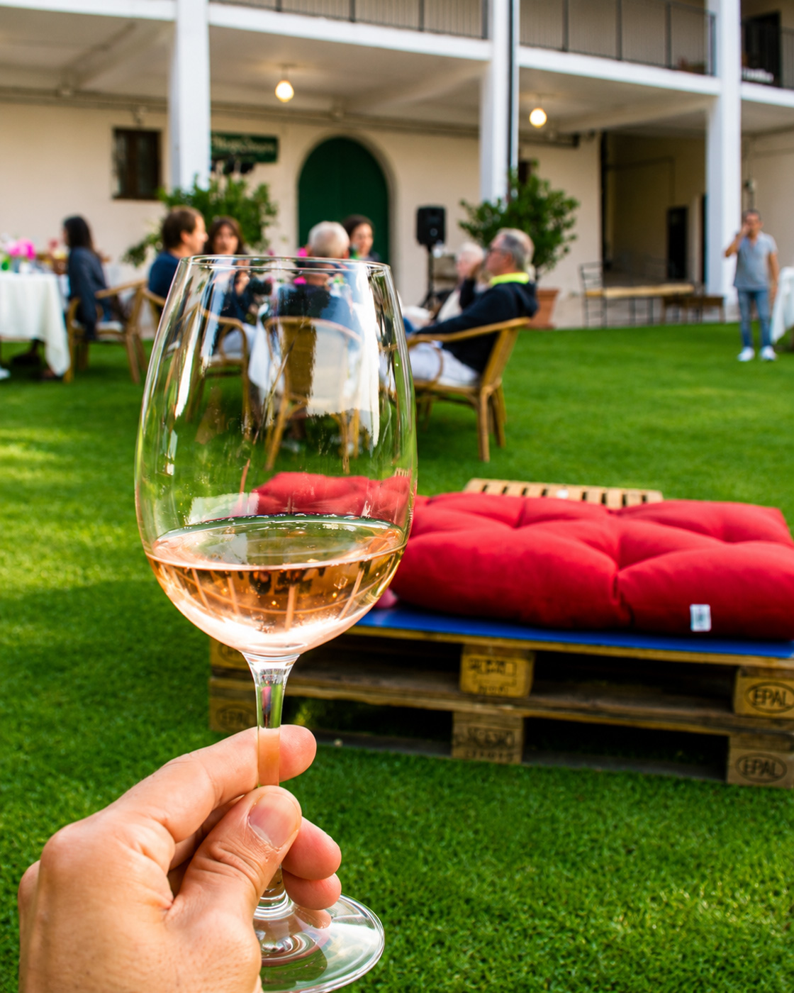 Valtenesi bike tour with lake view and wine tasting from Moniga - Photo 15