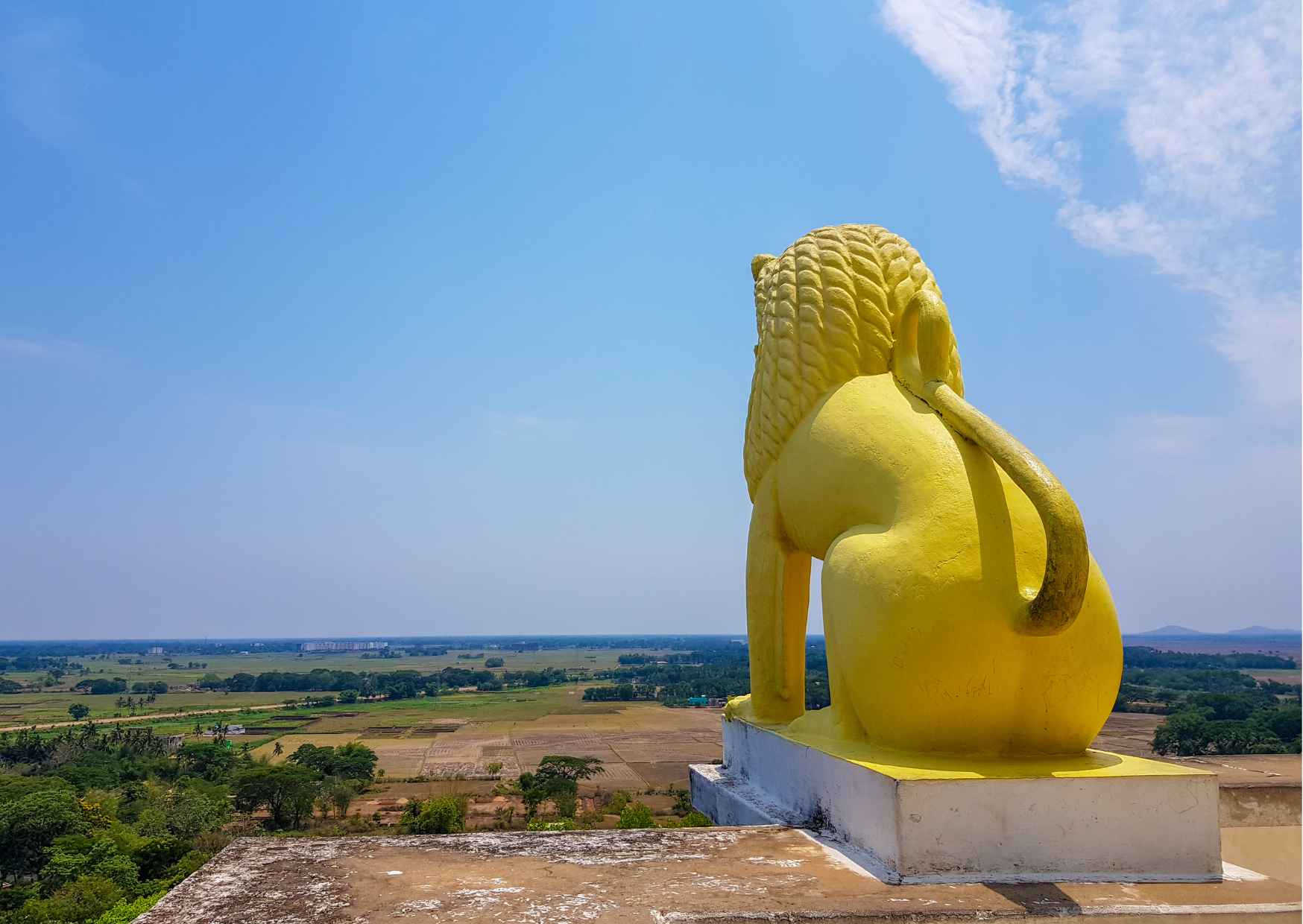 Discover Dhauli Shanti Stupa Bhubaneswar(Guided Halfday Sightseeing Tour by Car) - Photo 8