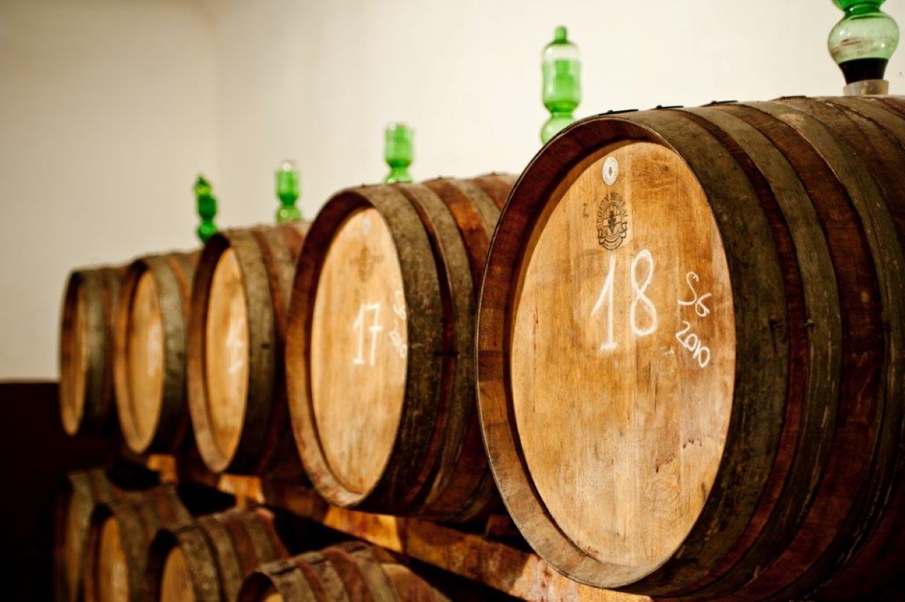 Explore Elegance: Savor 3 Exquisite Wines at Tenuta Bossi - Photo 8