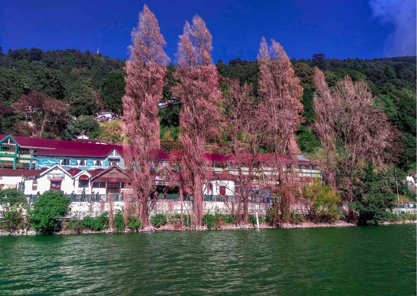 Highlights of Nainital (Guided Fullday Sightseeing Tour by Car) - Photo 7