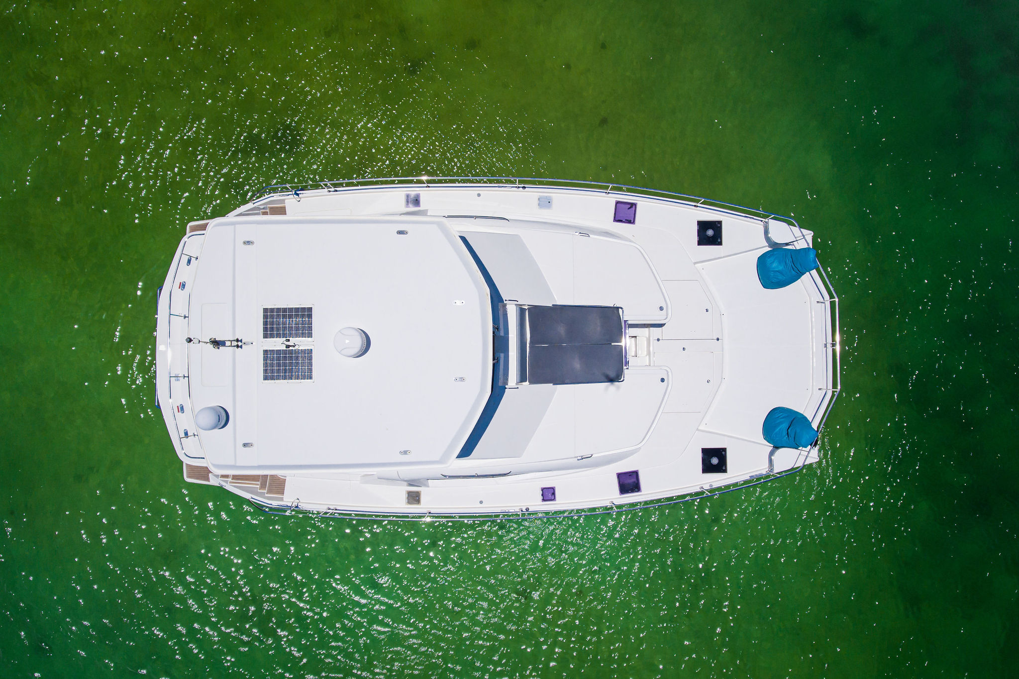 Hepsi Dahil Cancún: 5 saat Kıyı ve Pizza 51' Leopard PowerCat ile