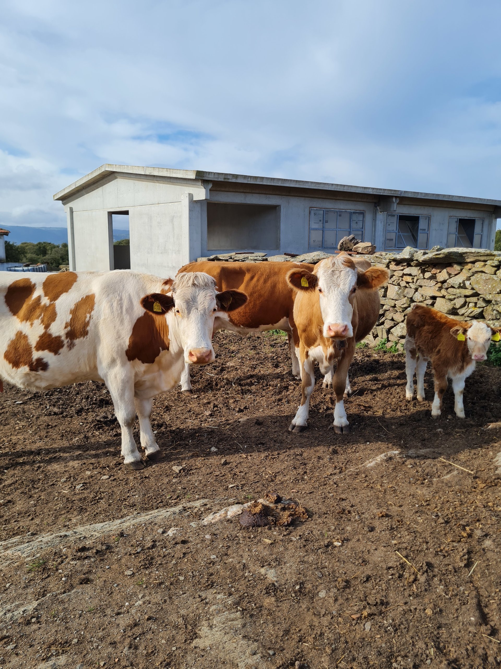 Bitti: shepherd's day with lunch - Photo 12
