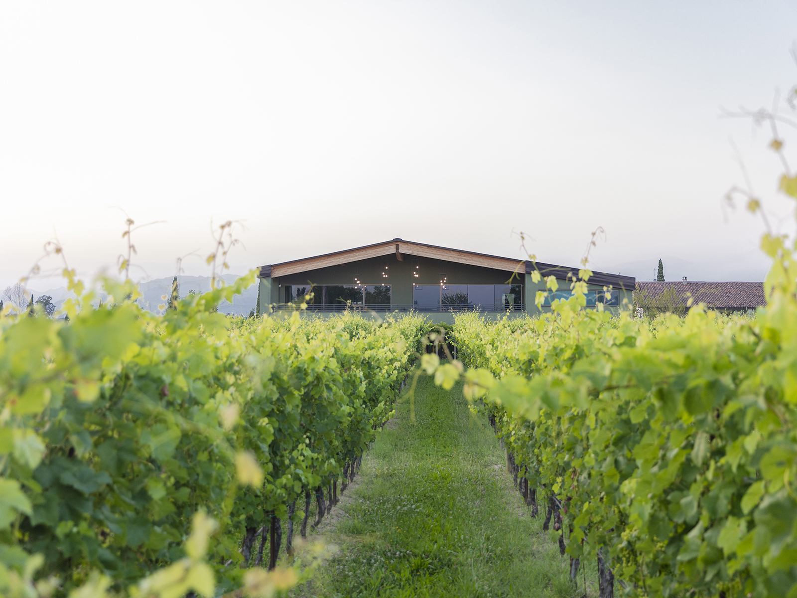 E-Bike tour from Desenzano with Wine Tasting - Photo 13