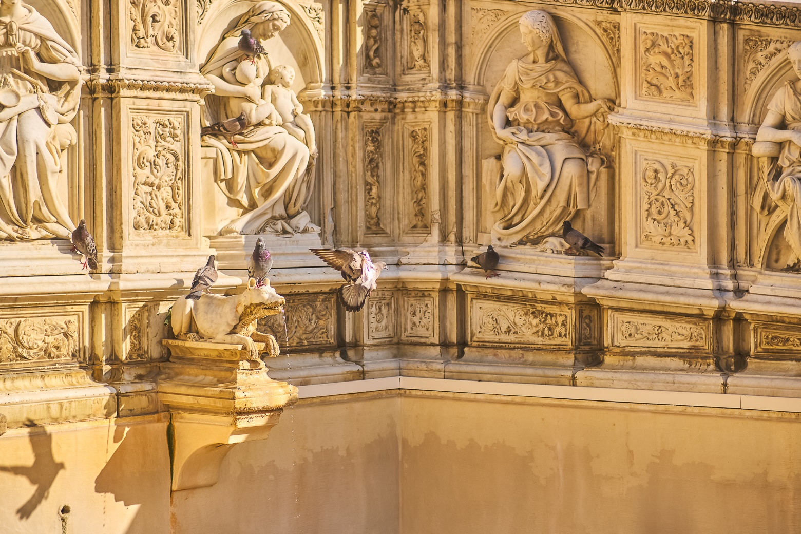 Tuscany Highlights Guided Small-Group Tour from Florence - Photo 43