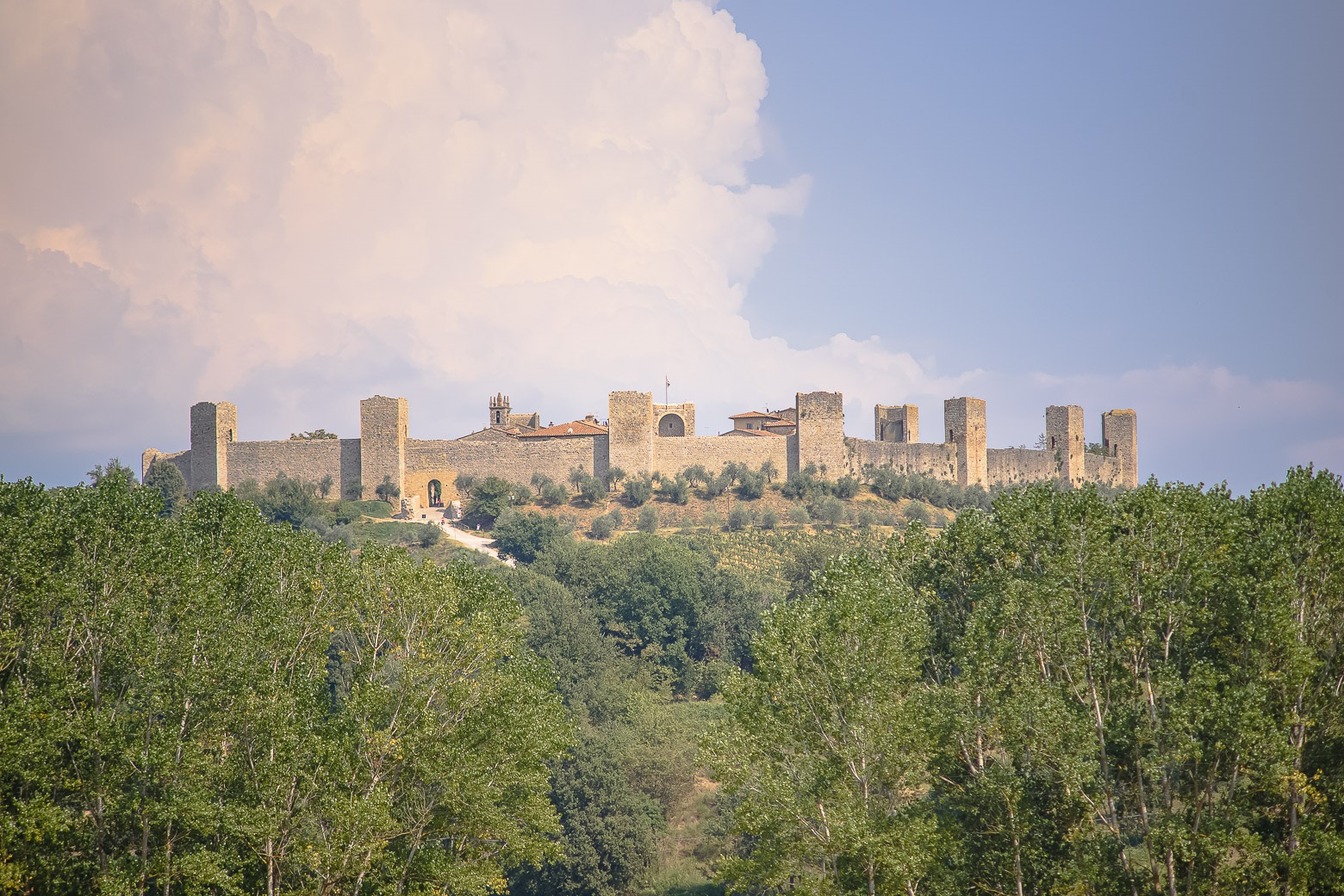Small-Group Winery Tour with Tasting and Dinner in Chianti - Photo 141