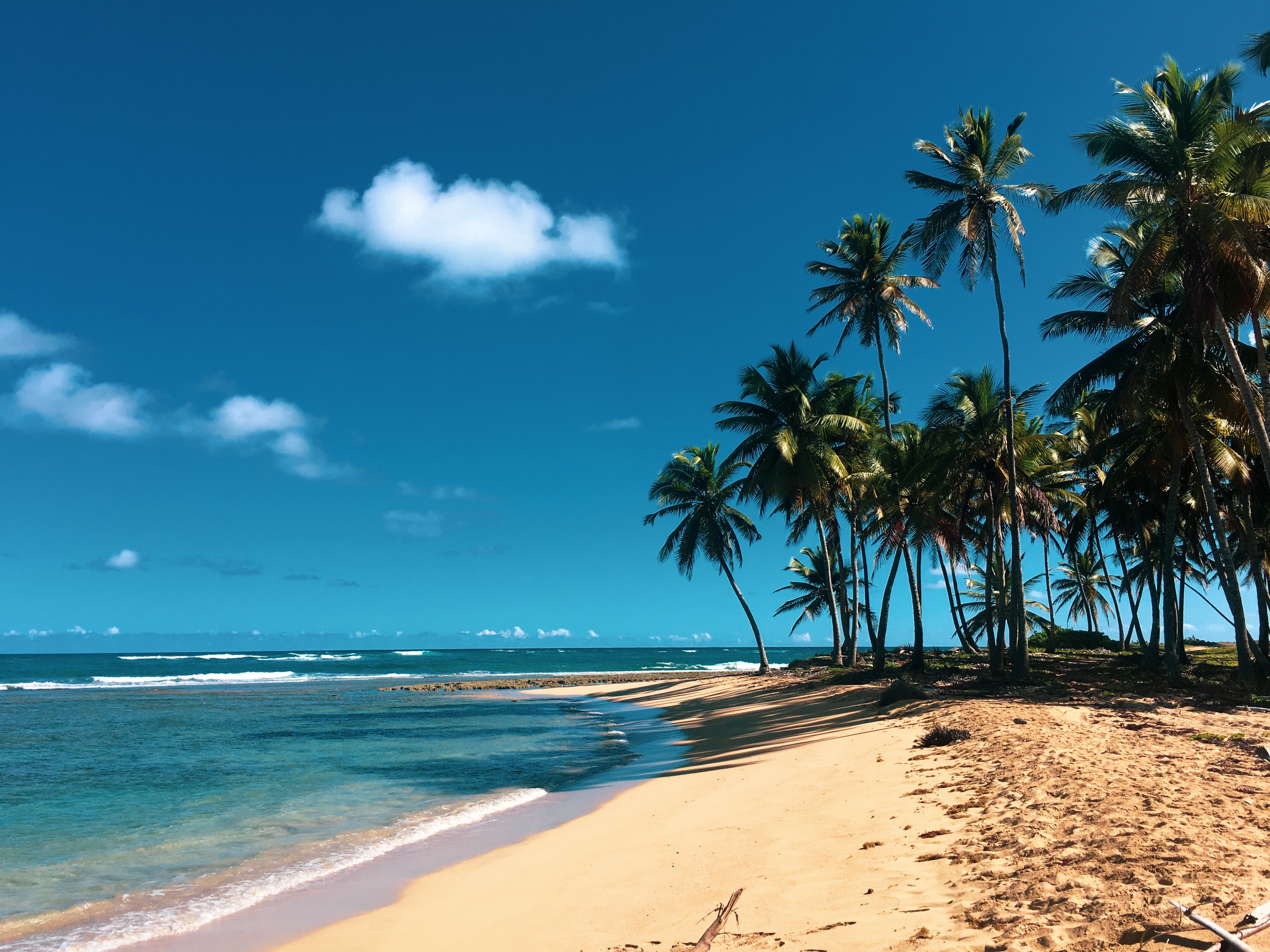 Punta cana Forfait Relax Caribe 5 días