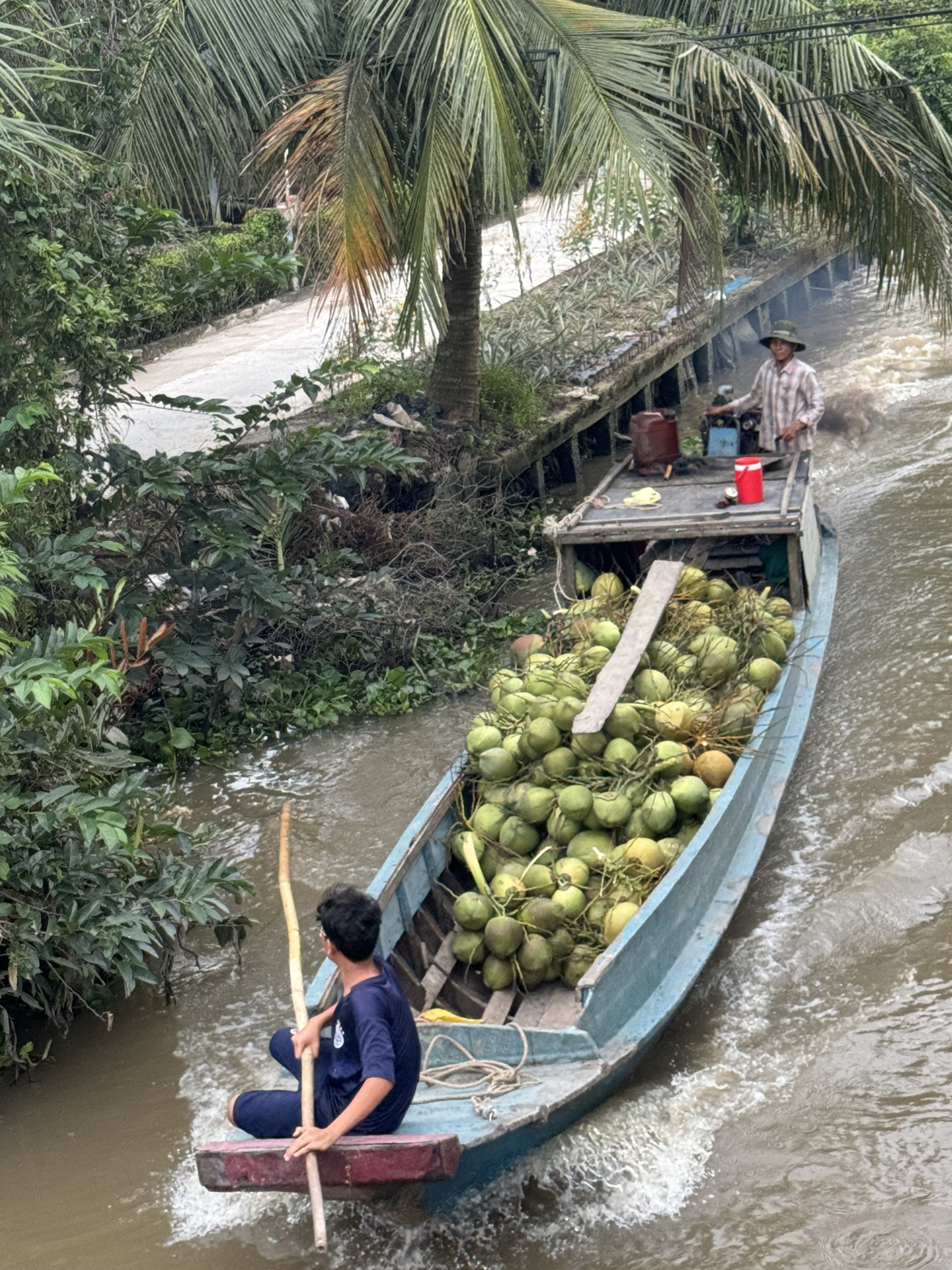 Explore U Minh Thuong Forest and The Bike trip In Pineapple Villages