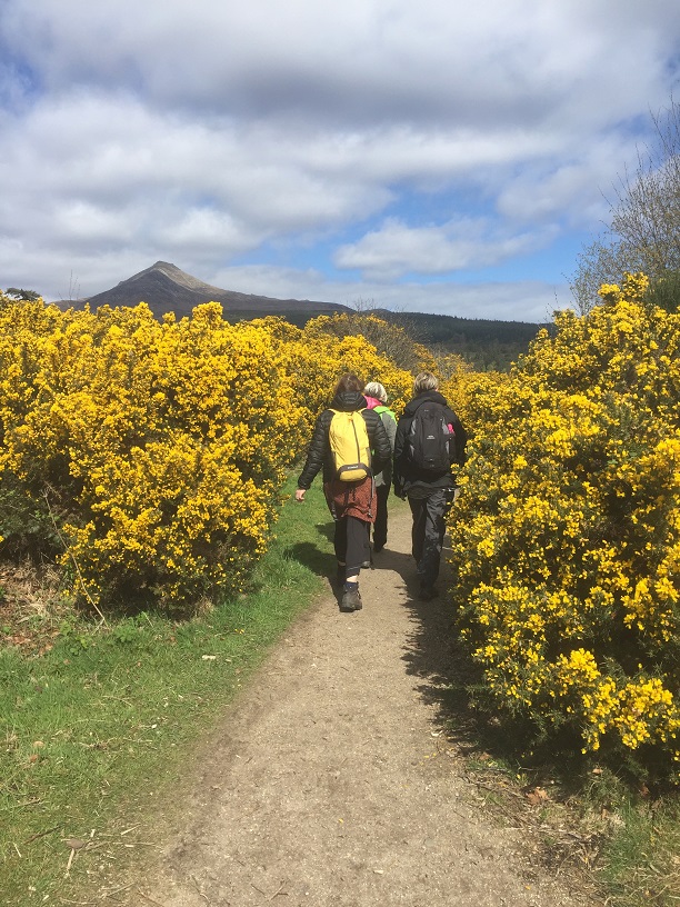 9 Days / 8 Nights - Arran Coastal Way Walking Adventure - Photo 9