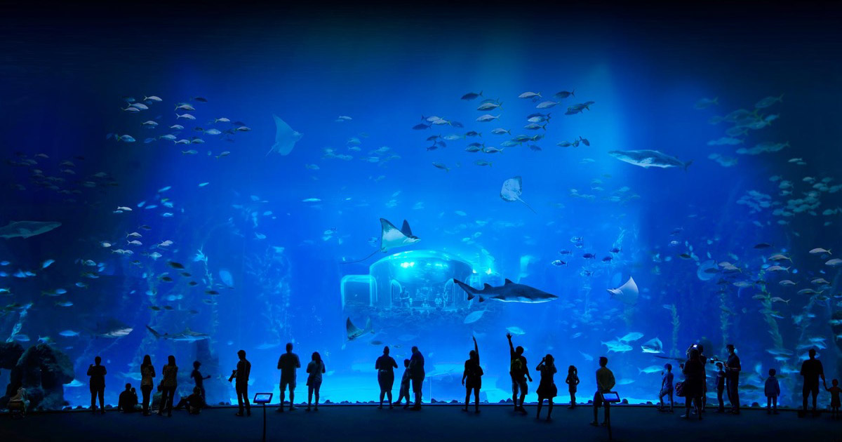 Poema del Mar + bus (desde el hotel Barceló Margaritas)