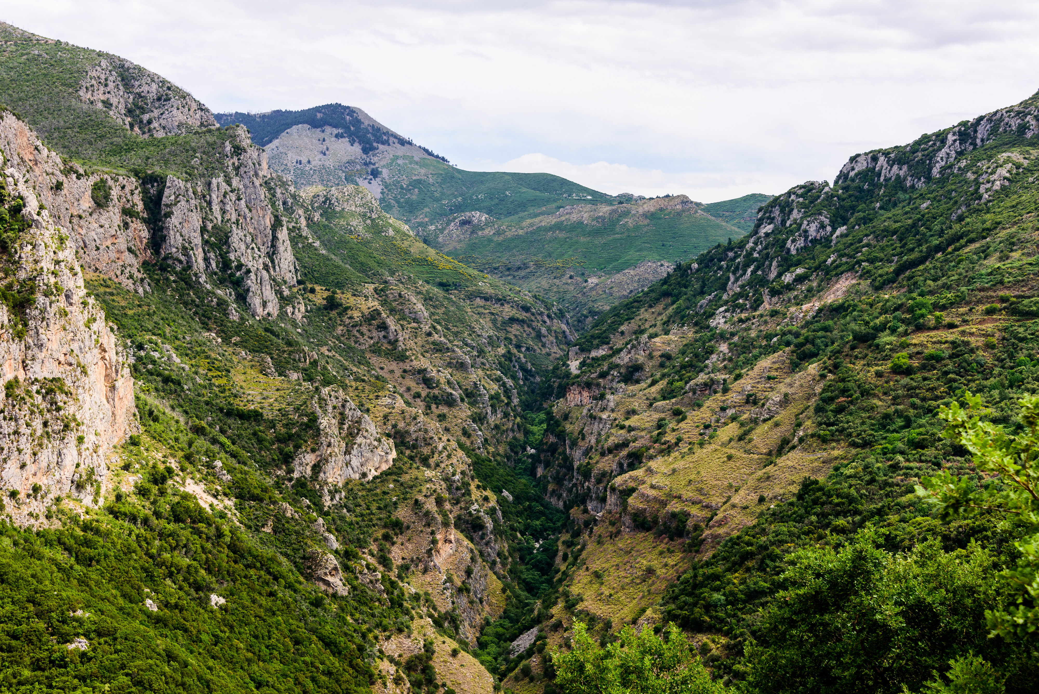 Vorio Rim to the Gorge Floor 2