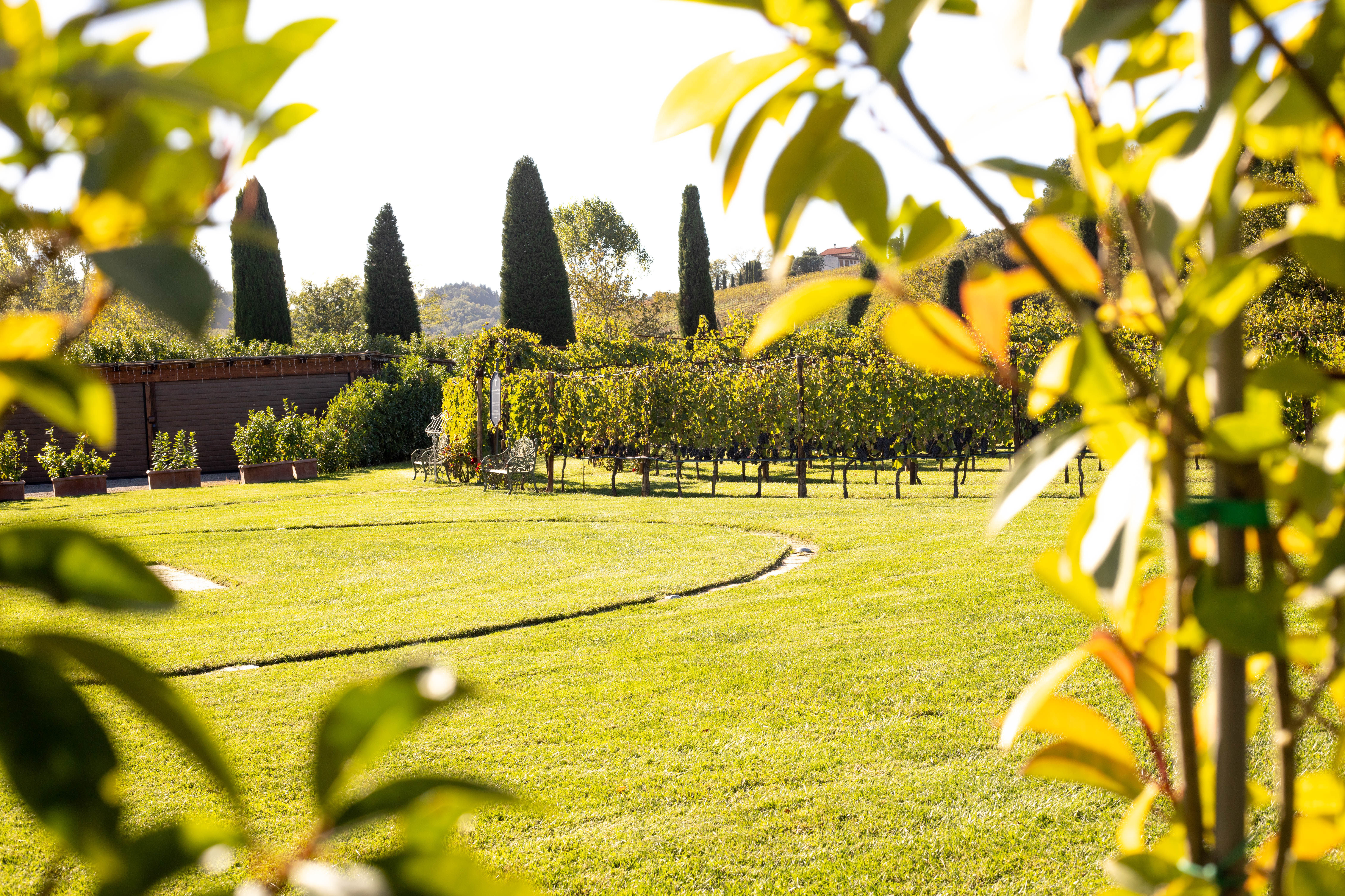 Chianti Half day Wine tour from Florence - Photo 28