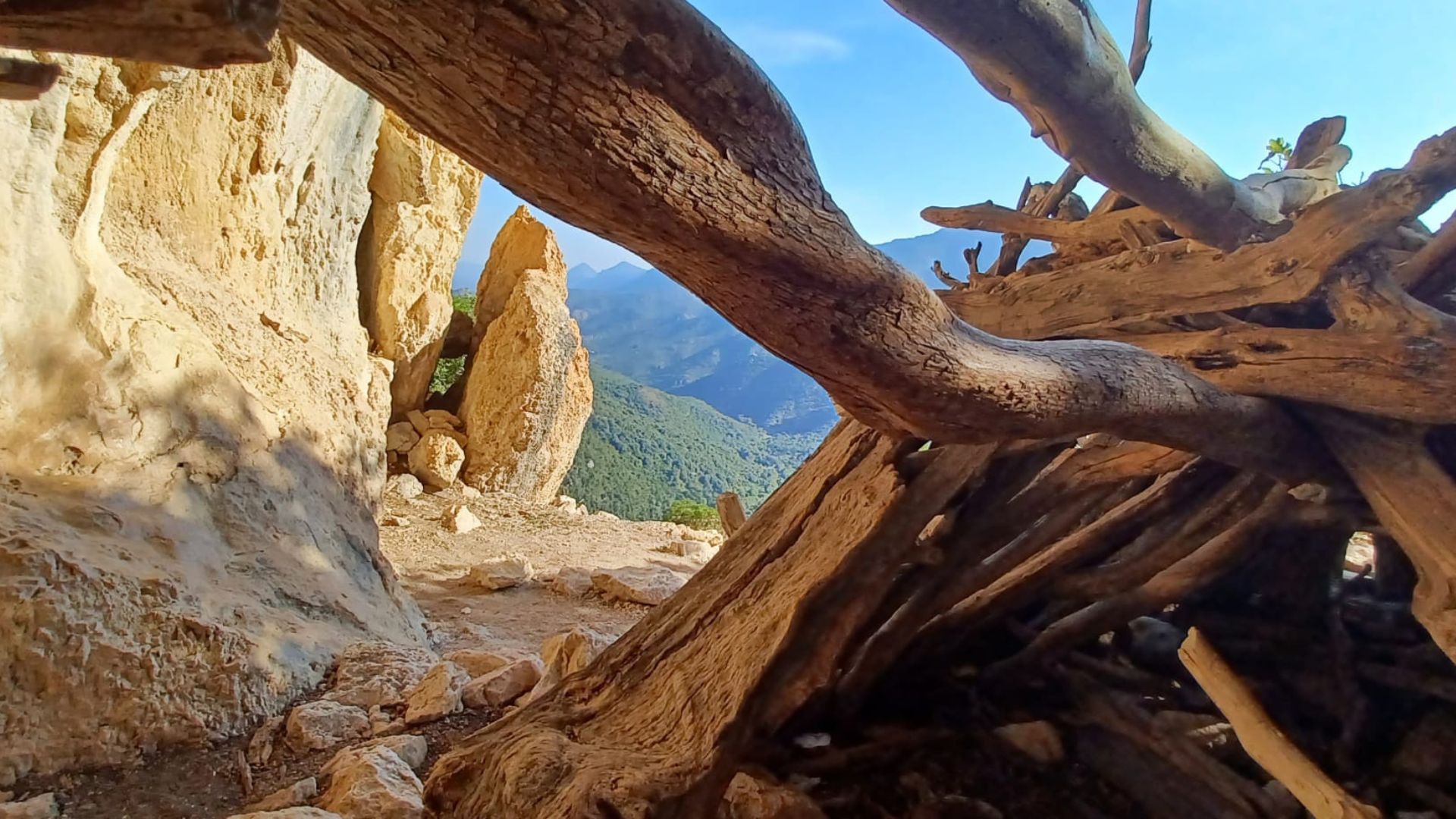 From Urzulei: trekking in the Gorropu canyon - Photo 4