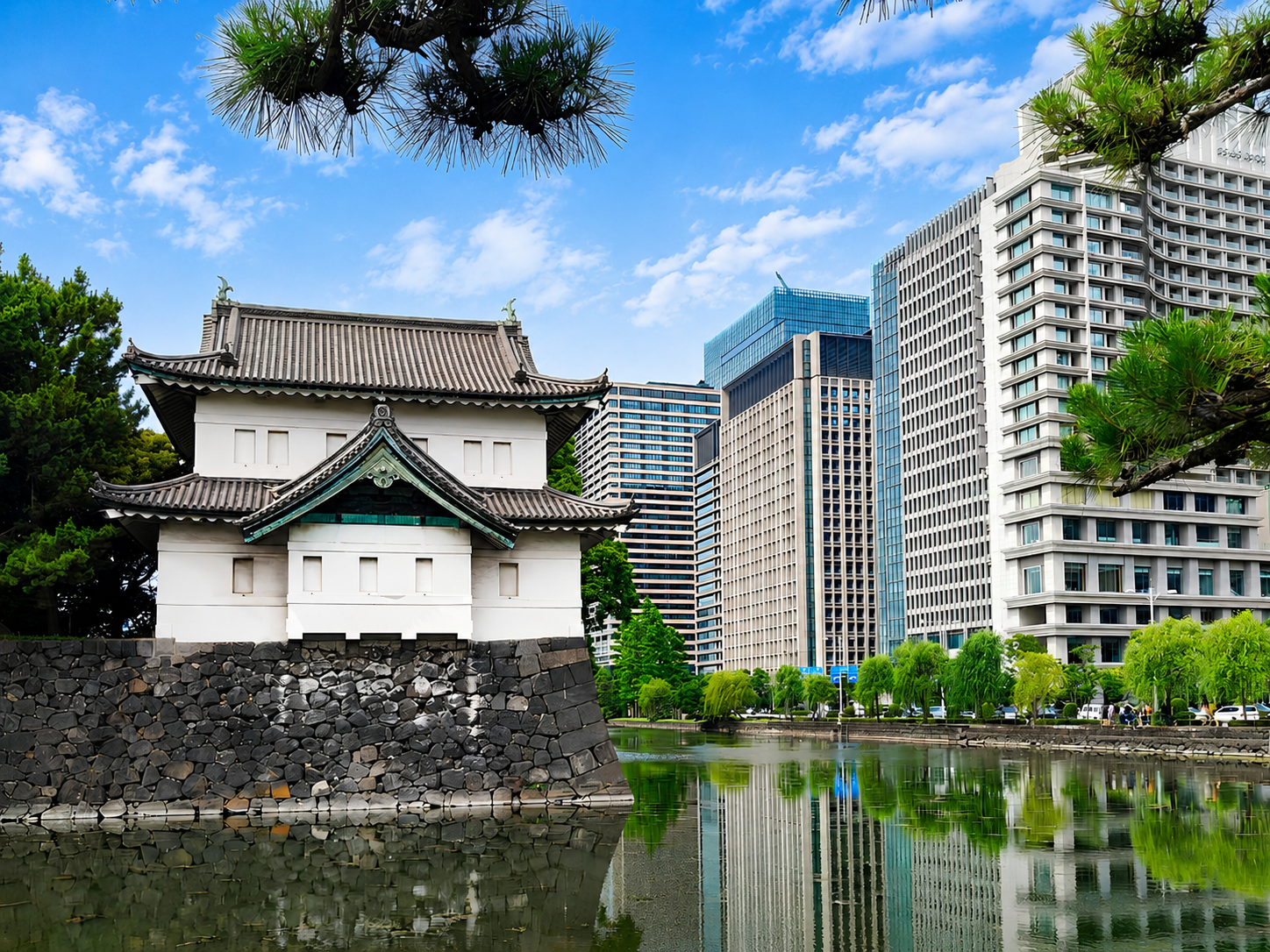 Imperial Palace and Shogun Historical Walking Tour
