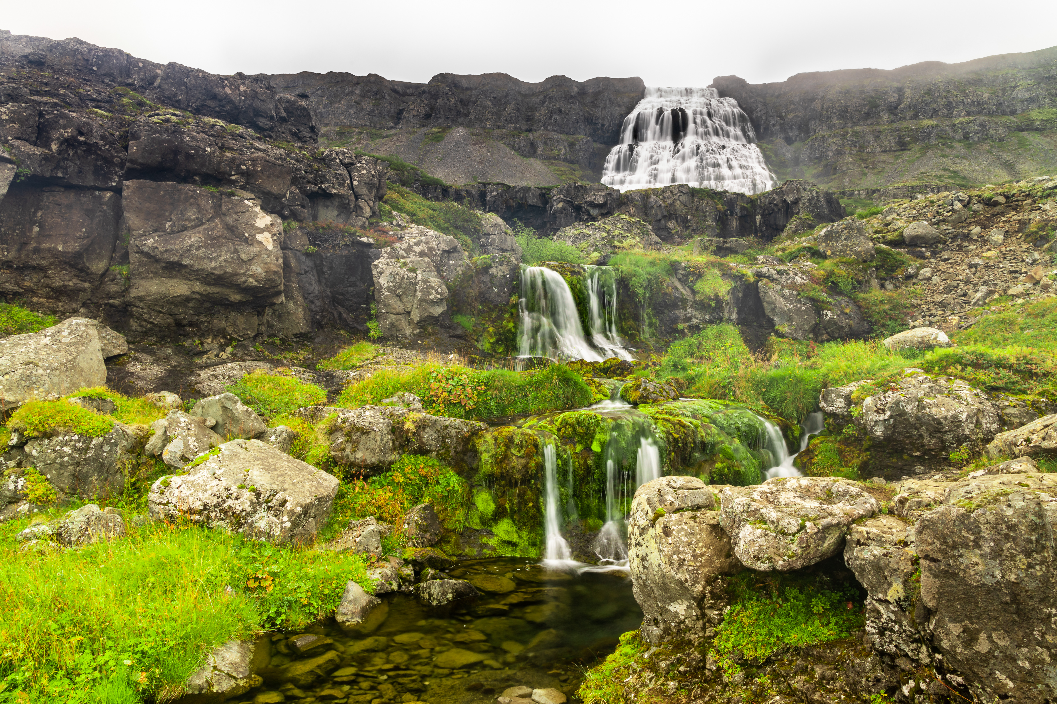 4 days – Wild Westfjords