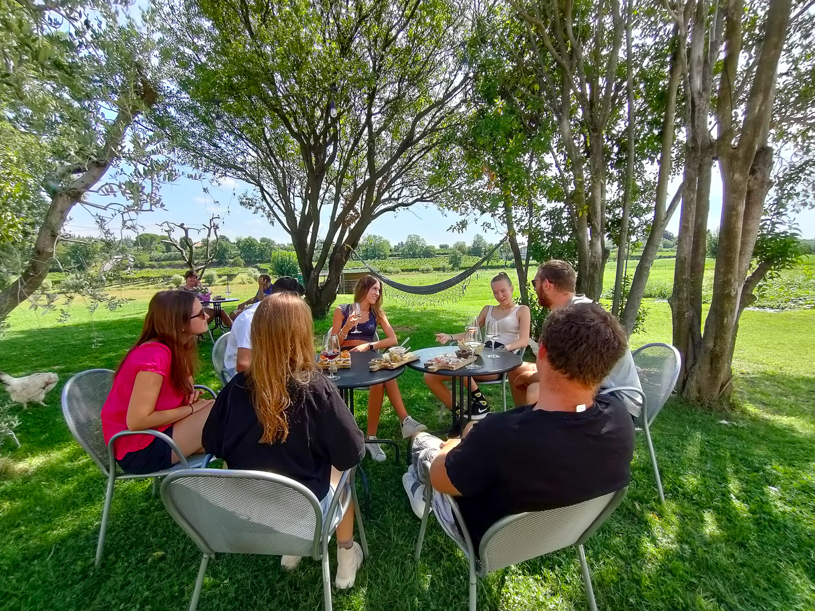 Wine Tasting with local food in Lazise countryside - Photo 6