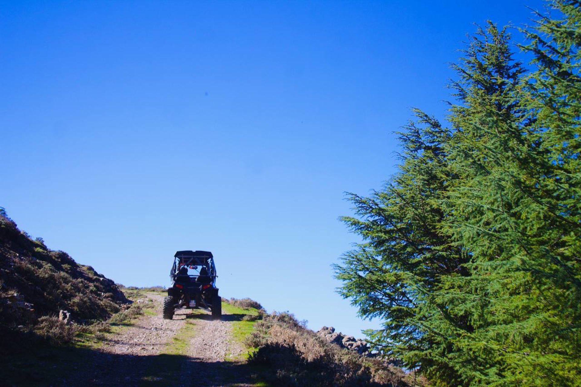 From Aritzo: buggy tour on Gennargentu - Photo 2