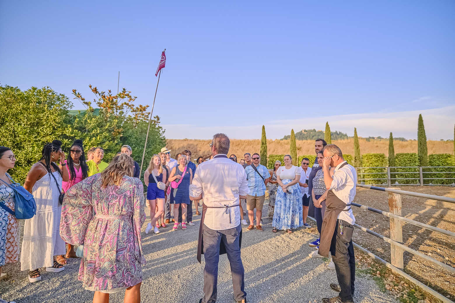 Small-Group Winery Tour with Tasting and Dinner in Chianti - Photo 11