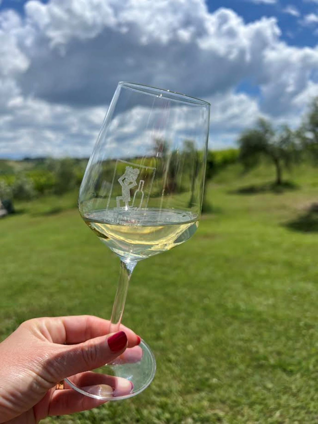 Discover Italian Wines: Exclusive 6 Wine Tastings at Tenuta La Viola - Photo 8