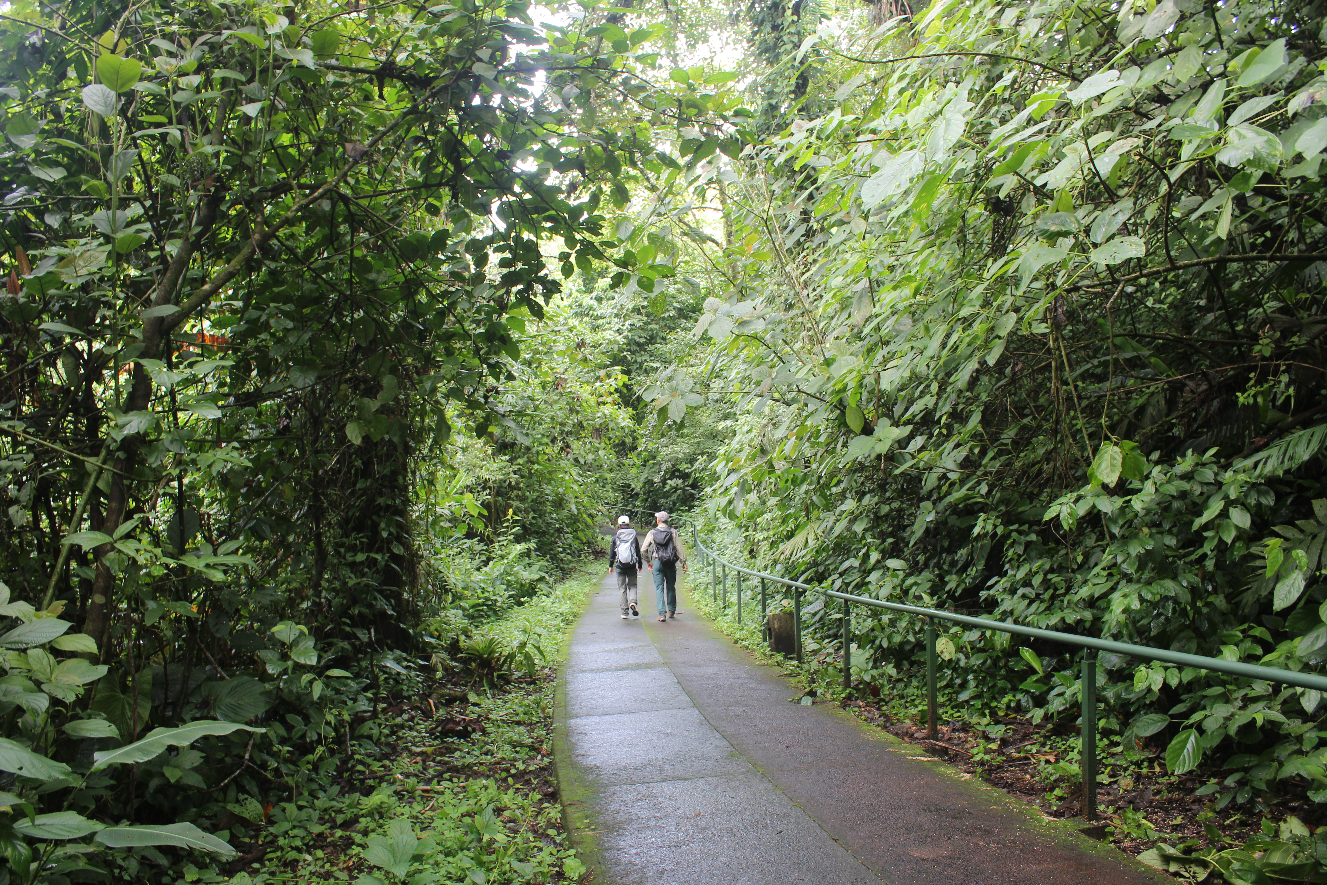 Aventura en el Parque Nacional Arenal (Senderos Península y Coladas + Paseo en Bote)