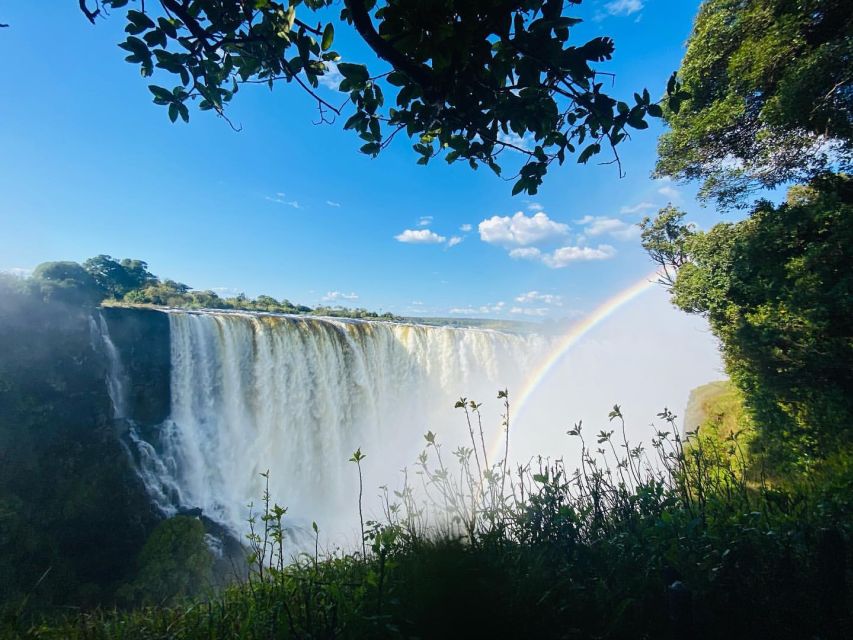 Visita guiada a pie por las cataratas Victoria