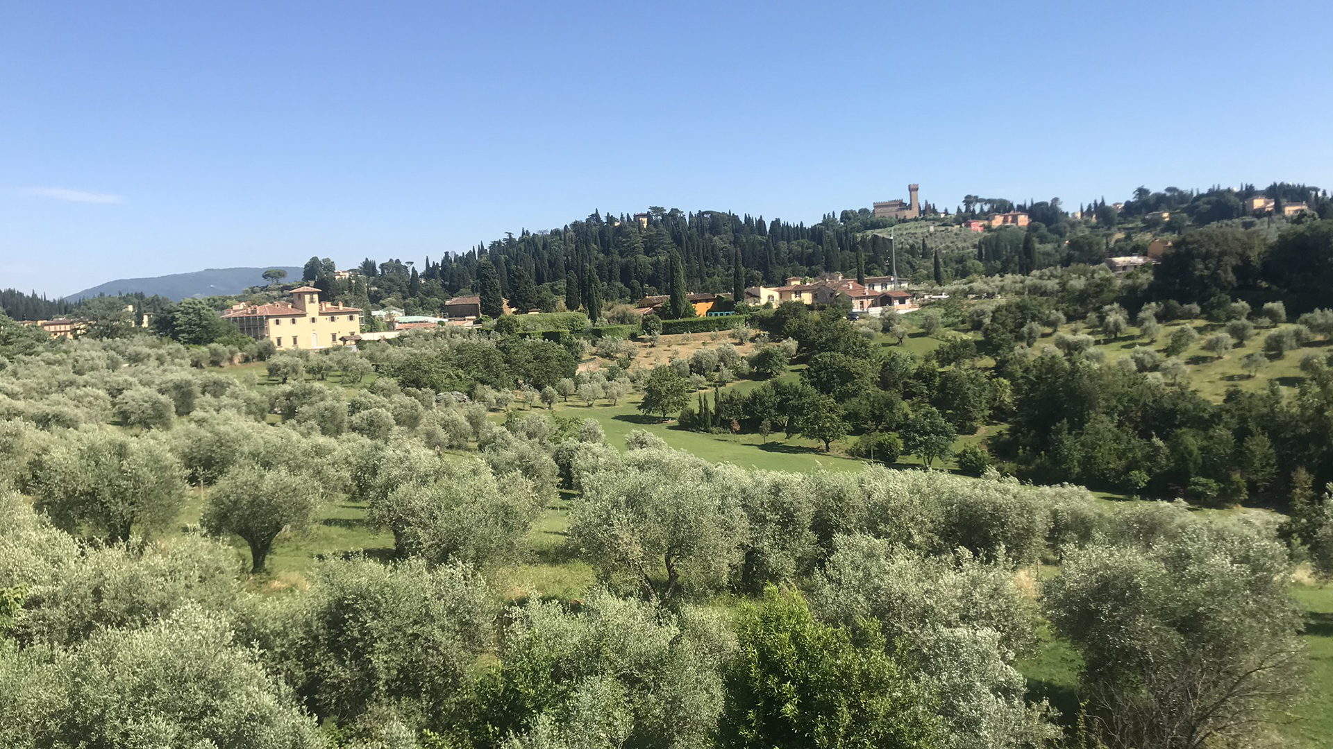 Pitti Palace & Boboli  Gardens tour with a local Guide - Photo 13