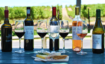 (Cape Town Tour) 3Days -Robben Island getaway & Table Mountain Car & wine taste  - Photo 10