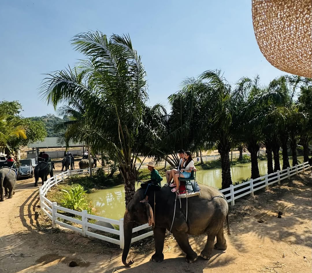 Mong Chang Cafe Pattaya Elephant Village – Image 3 | WeShare