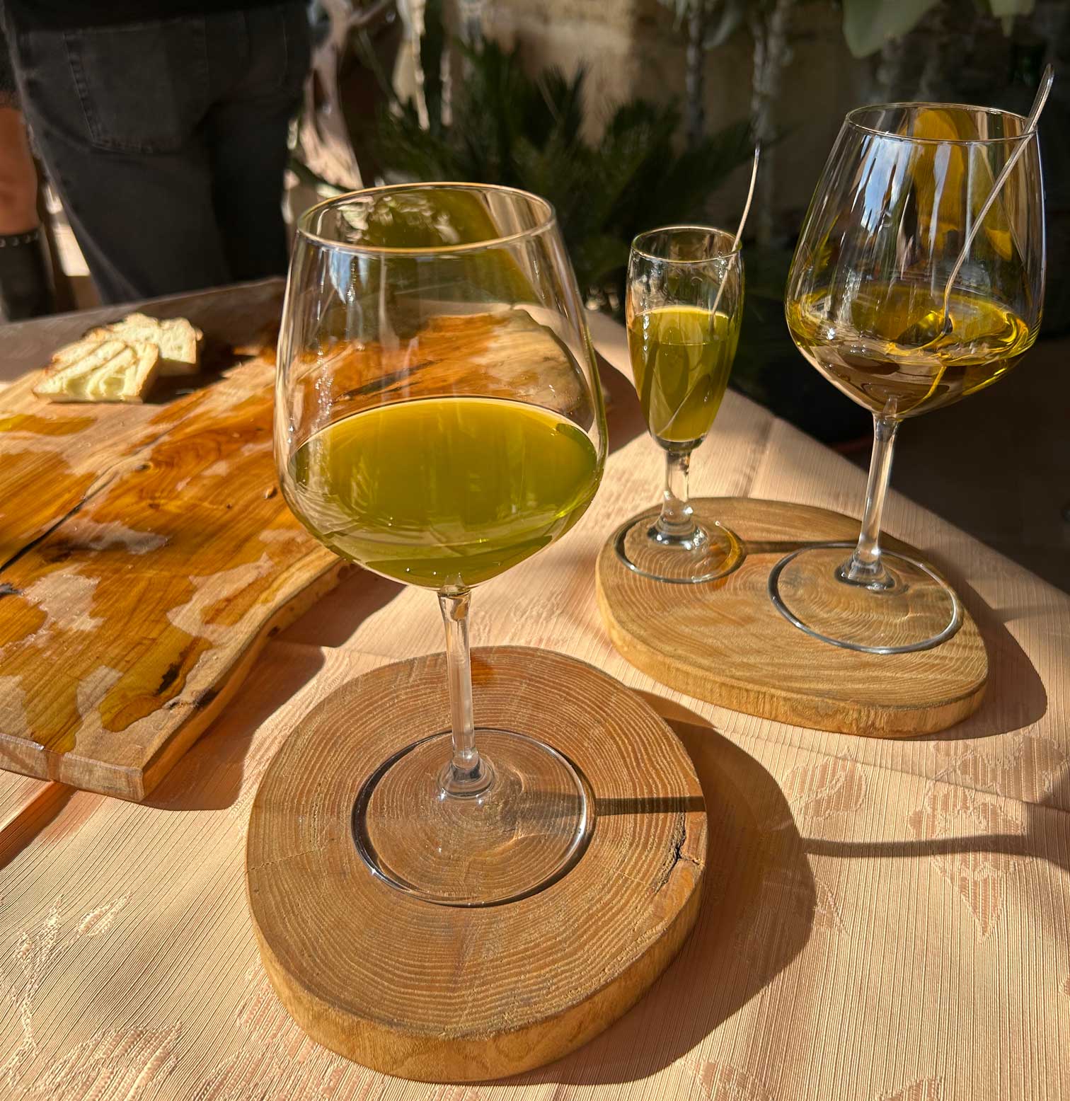 Oristano: visit a farm with oil tasting - Photo 4